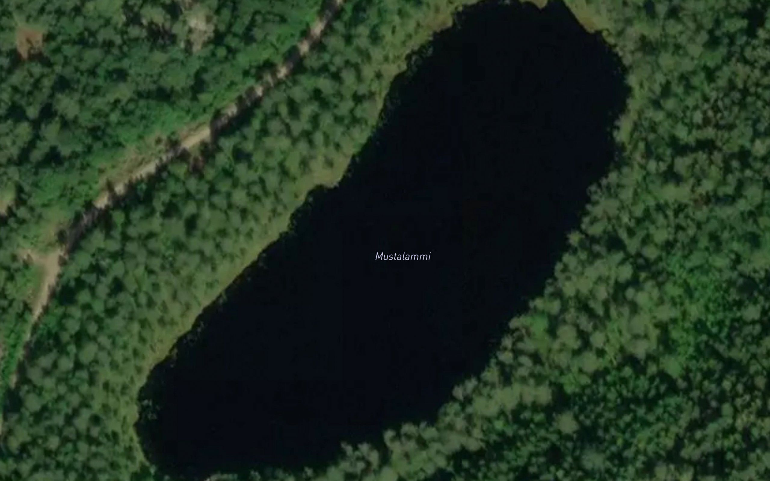 Mustalammi