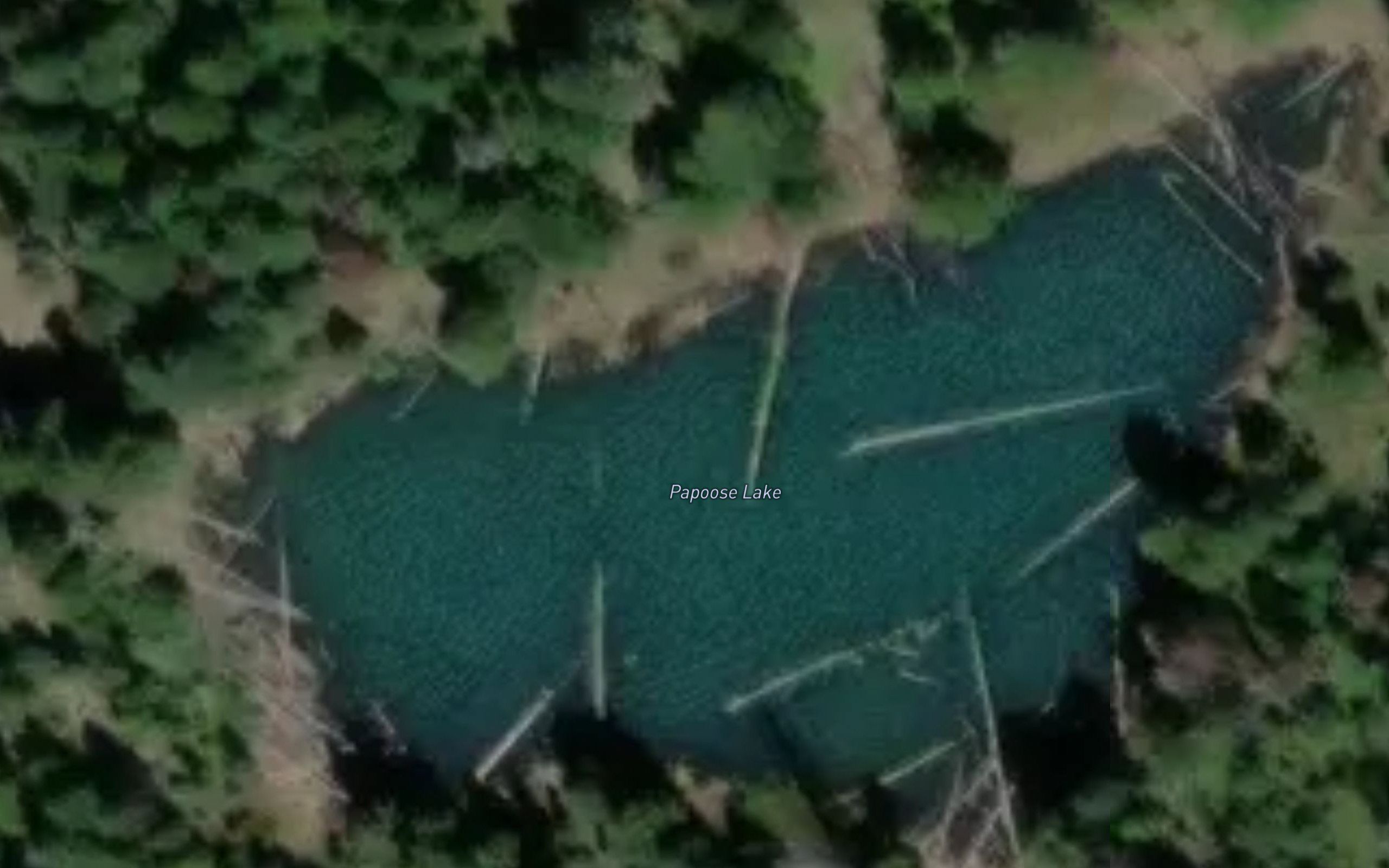 Papoose Lake