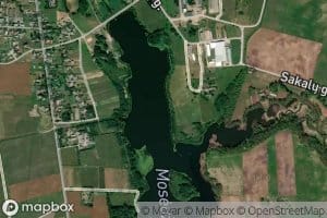 Mosedzio I Tvenkinys