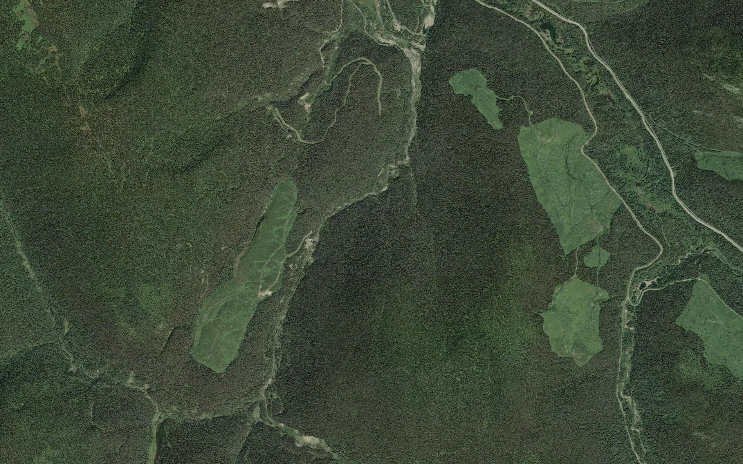 McNeill Creek