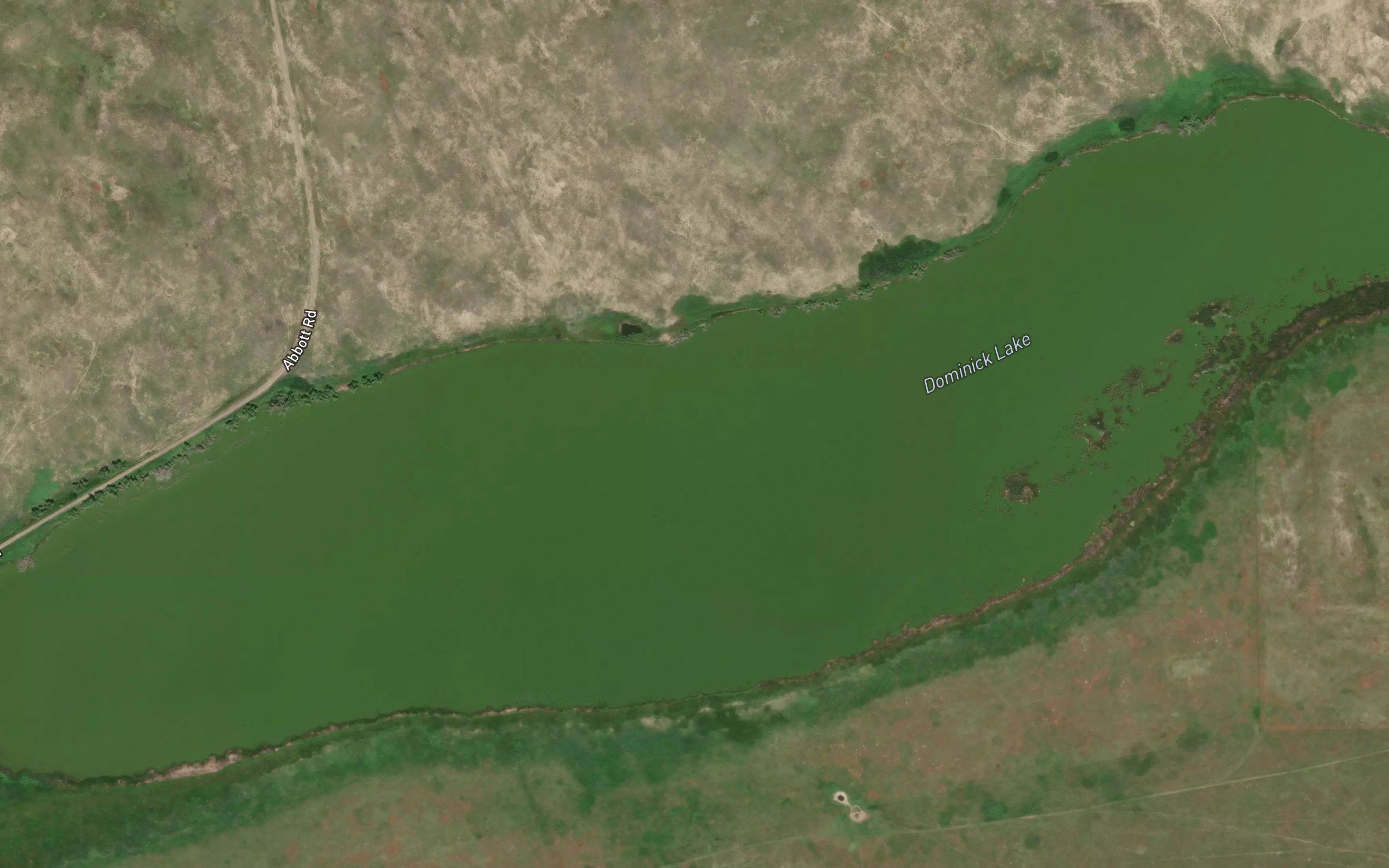 Dominick Lake