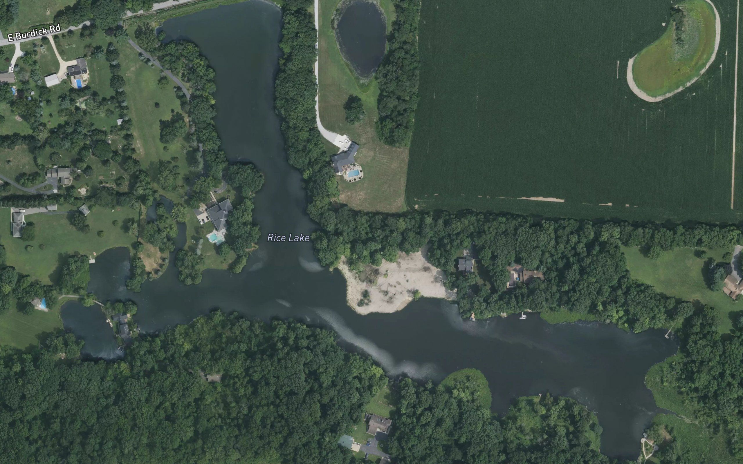 Rice Lake