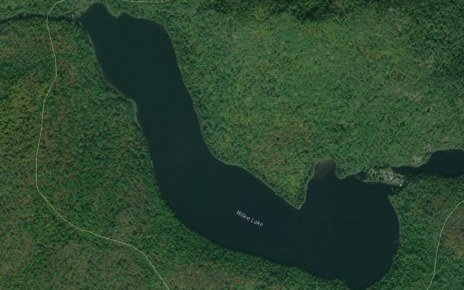 Satellite map of the Wilkie Lake