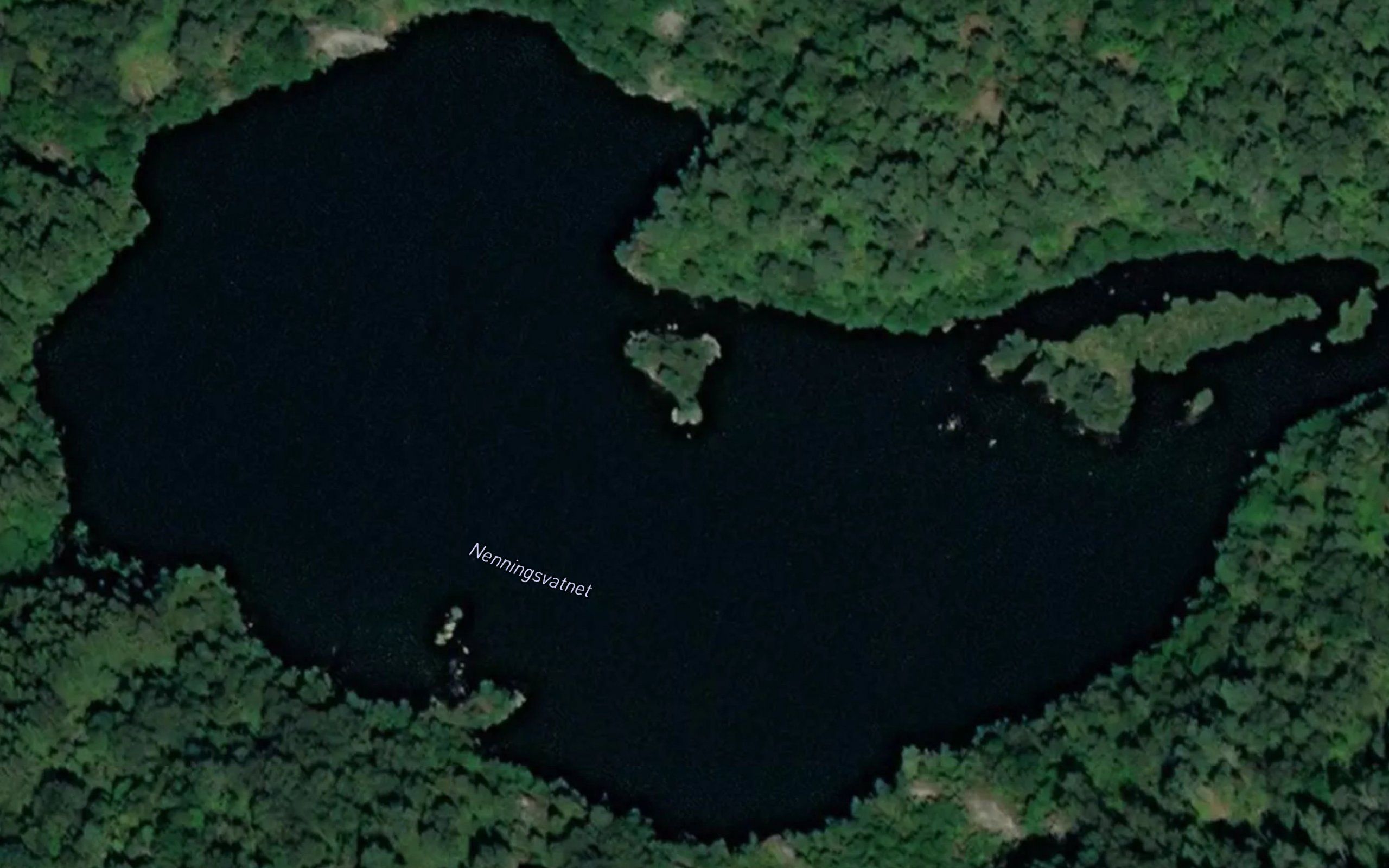 Nenningvann