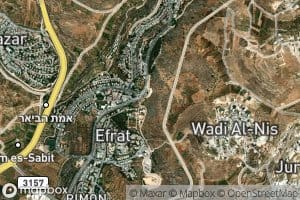 'Ayn Wadi al Bi'ar
