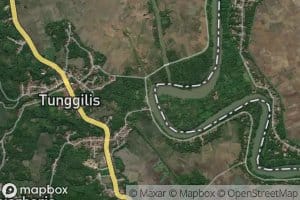 Ci Tunggilis