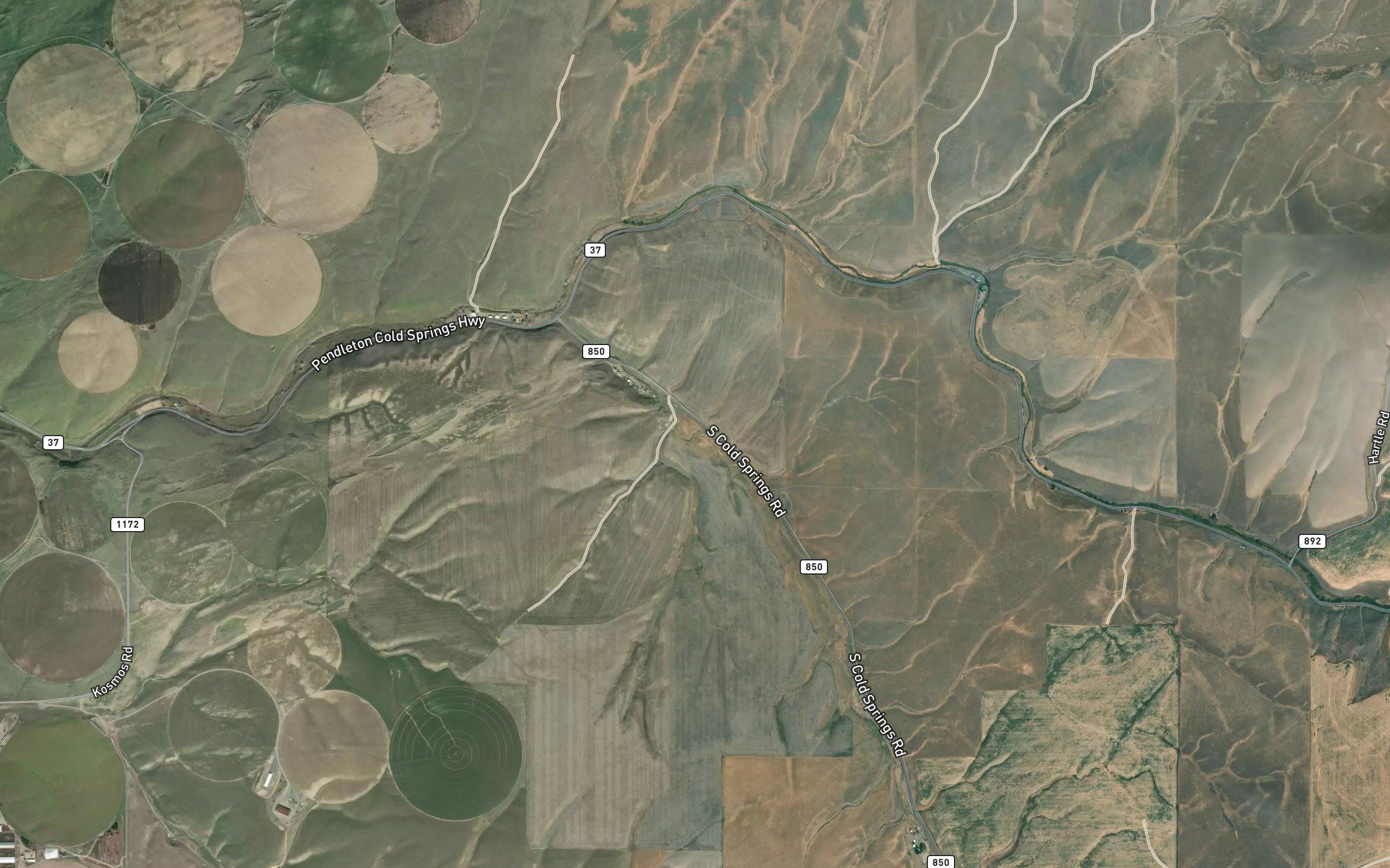 Badger Springs
