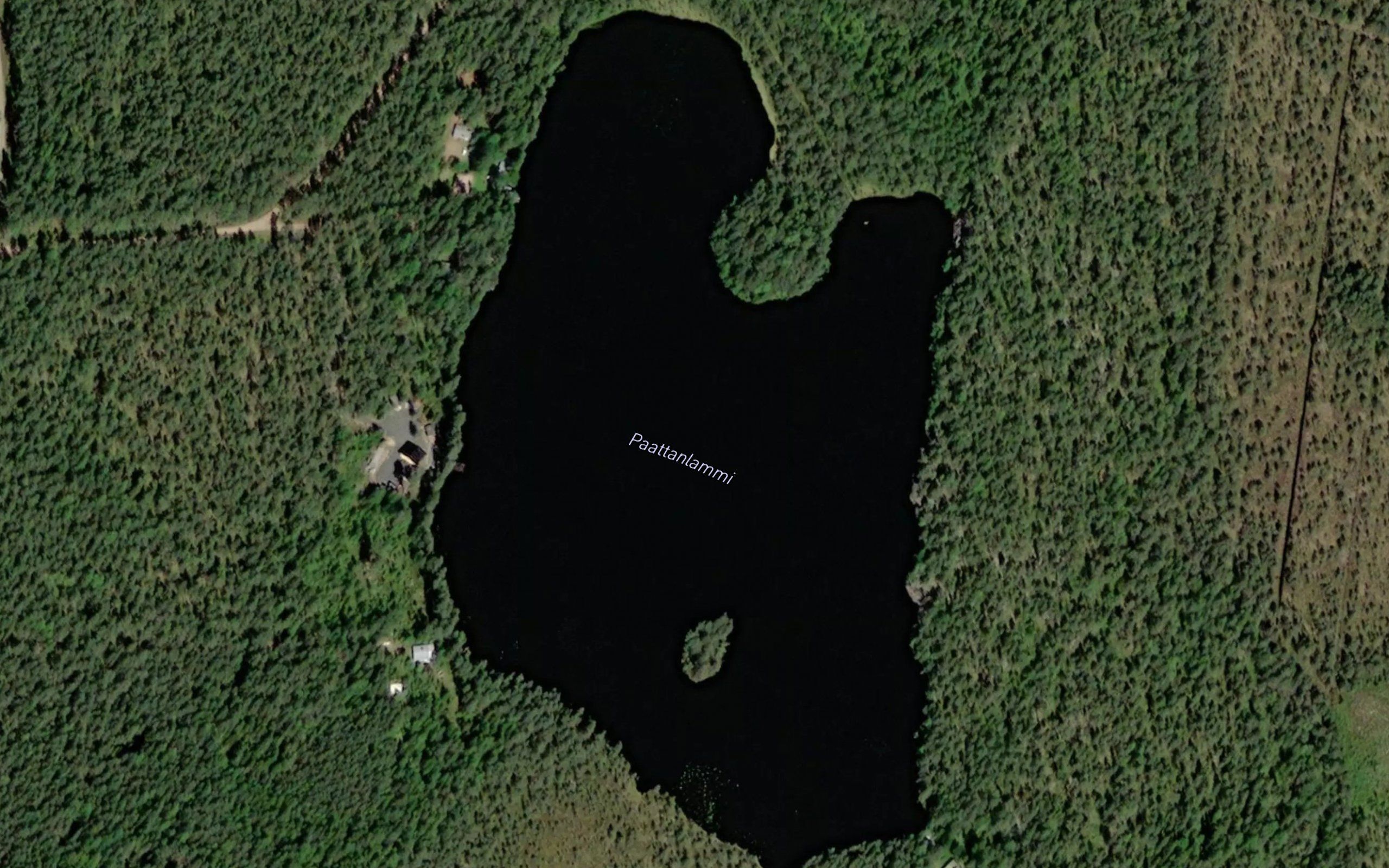 Paattanlammi