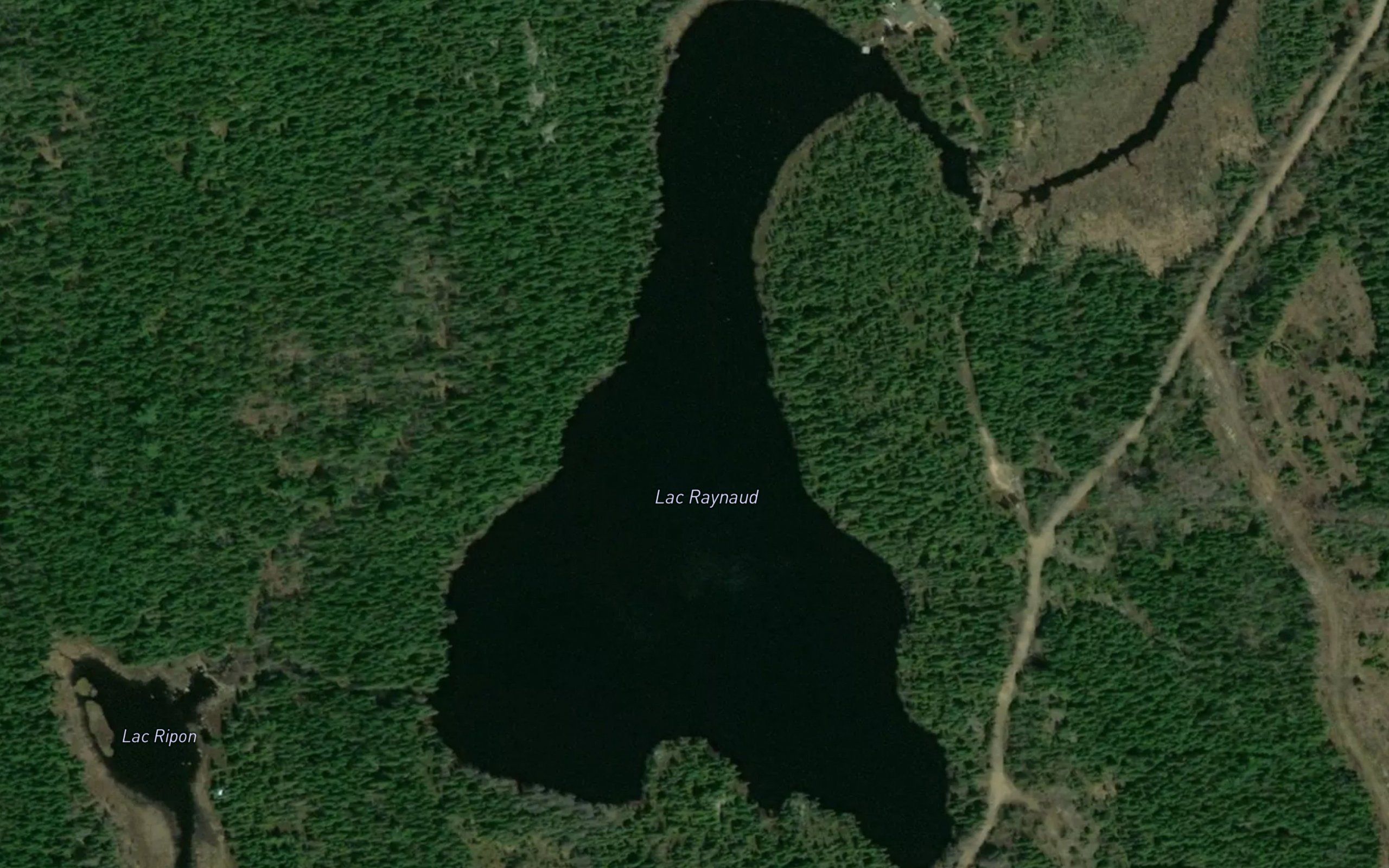 Lac Raynaud
