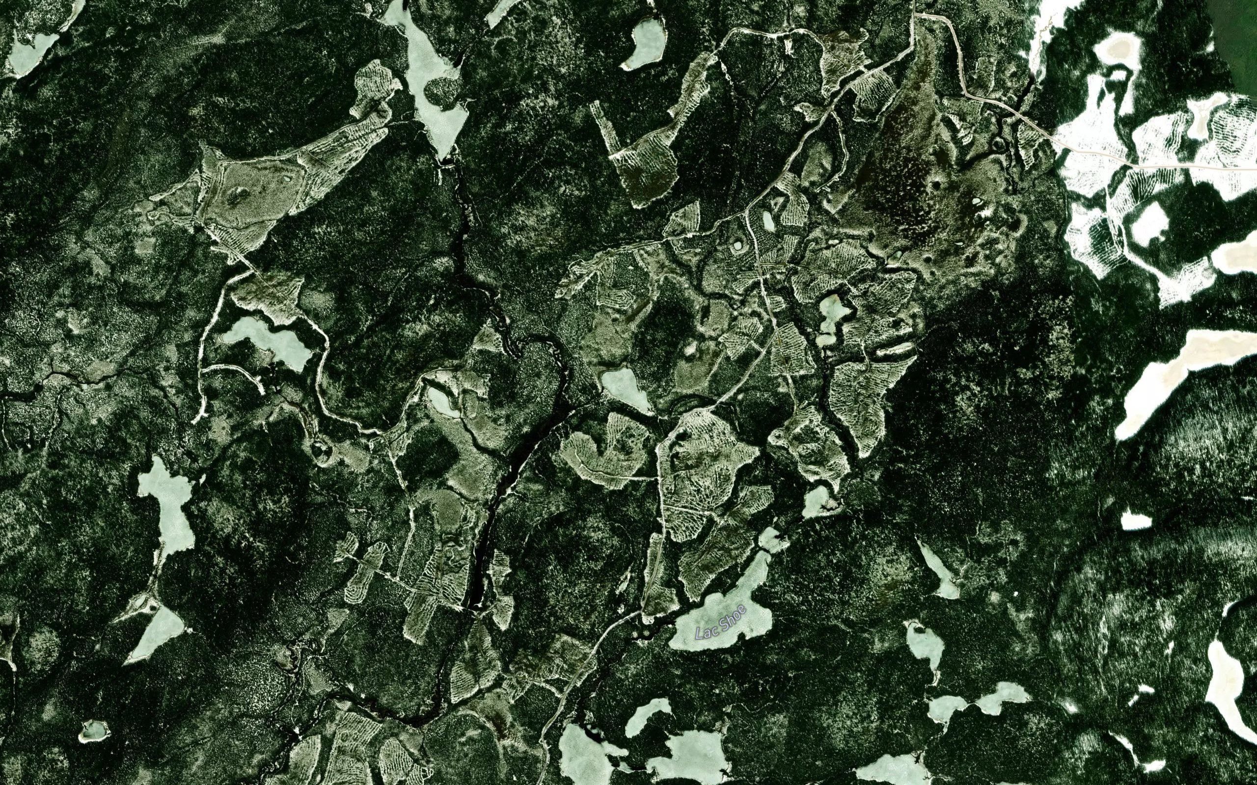Lac Bert