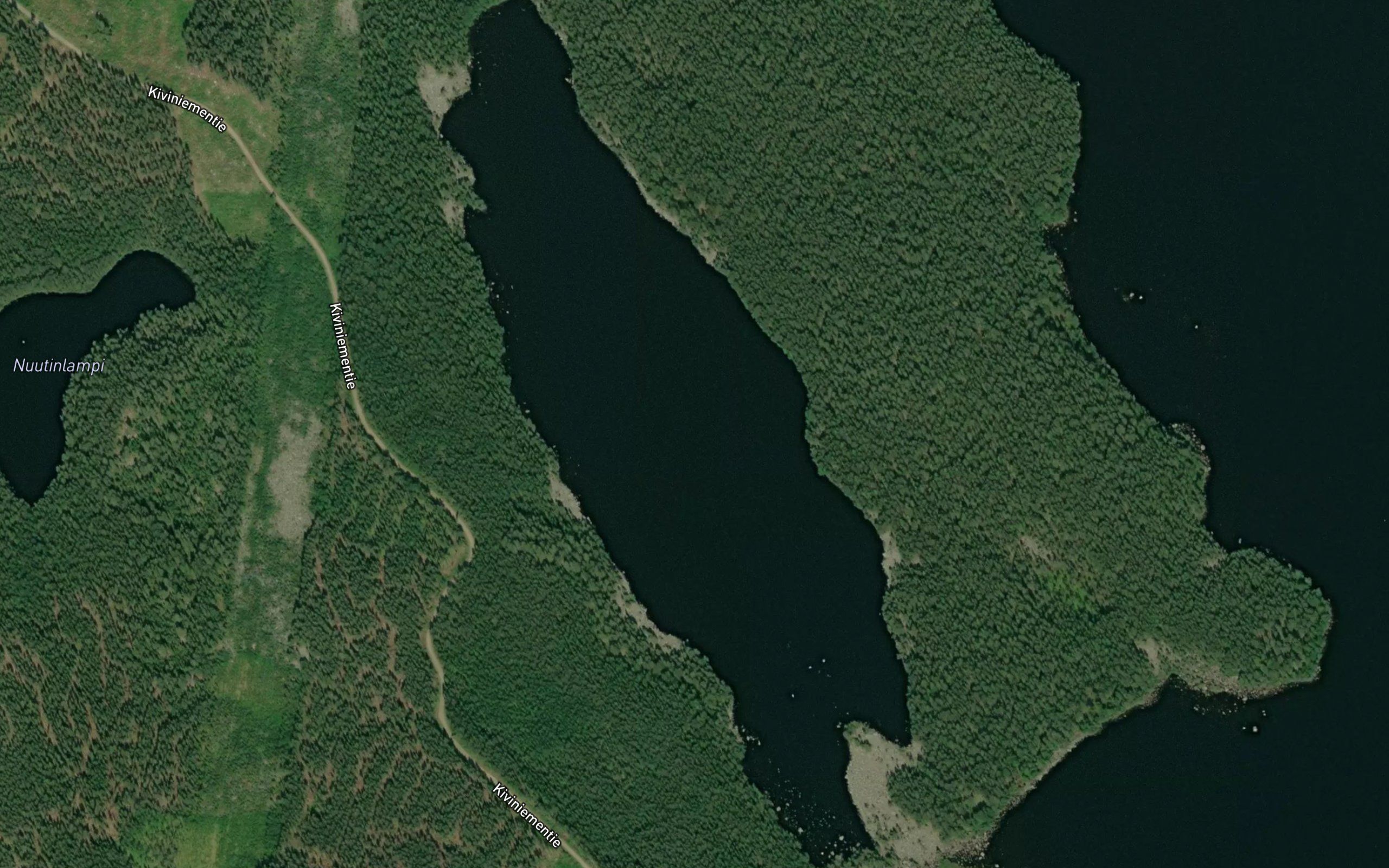 Nuutin Sayneinen