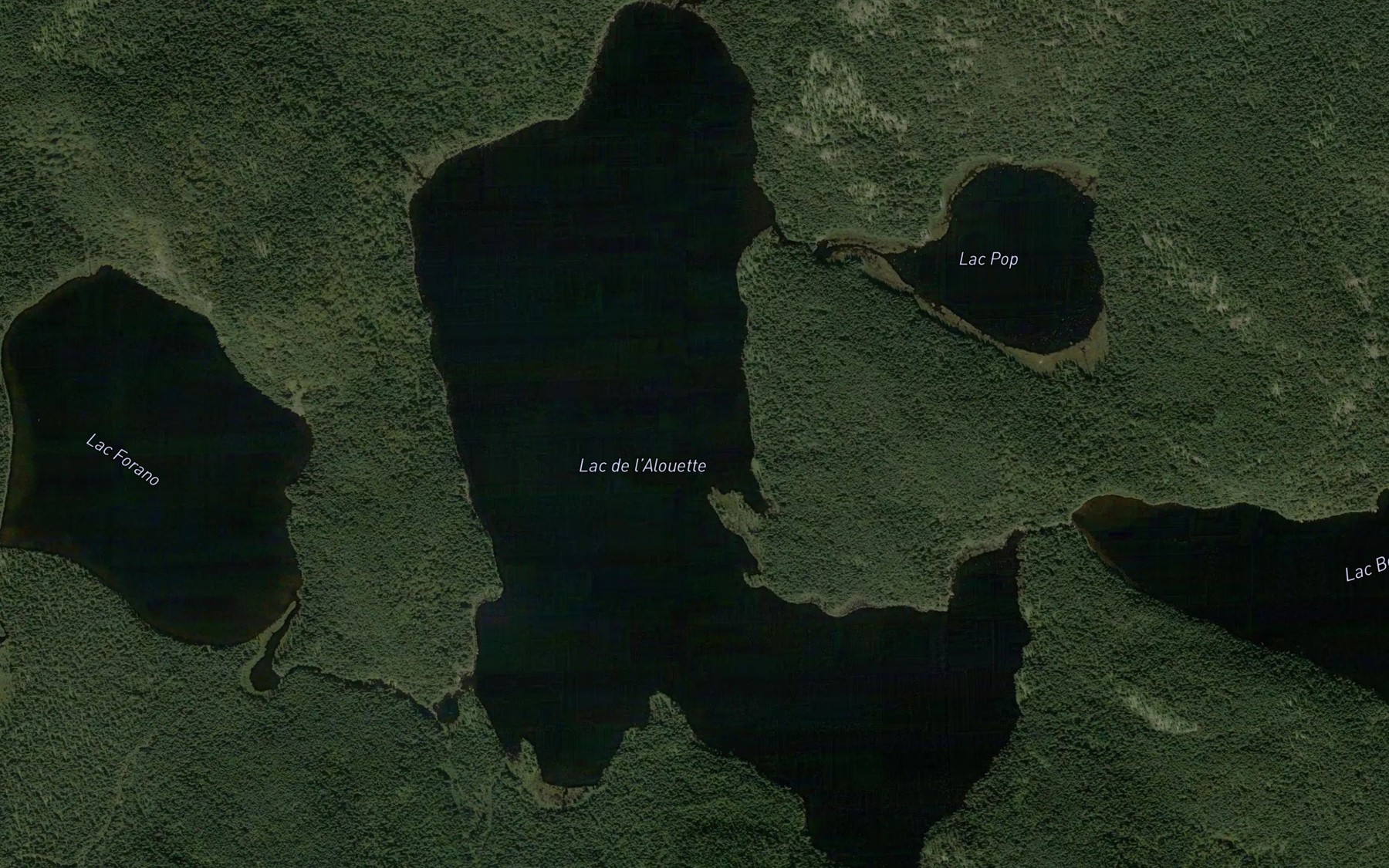 Satellite map of the Lac de l'Alouette