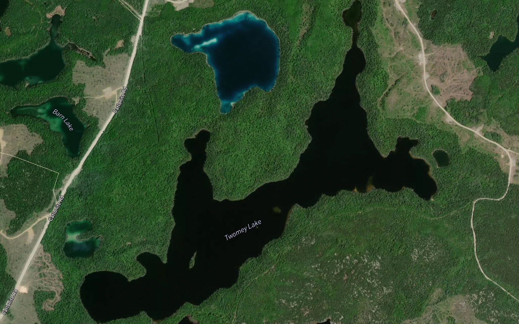 Satellite map of the Twomey Lake