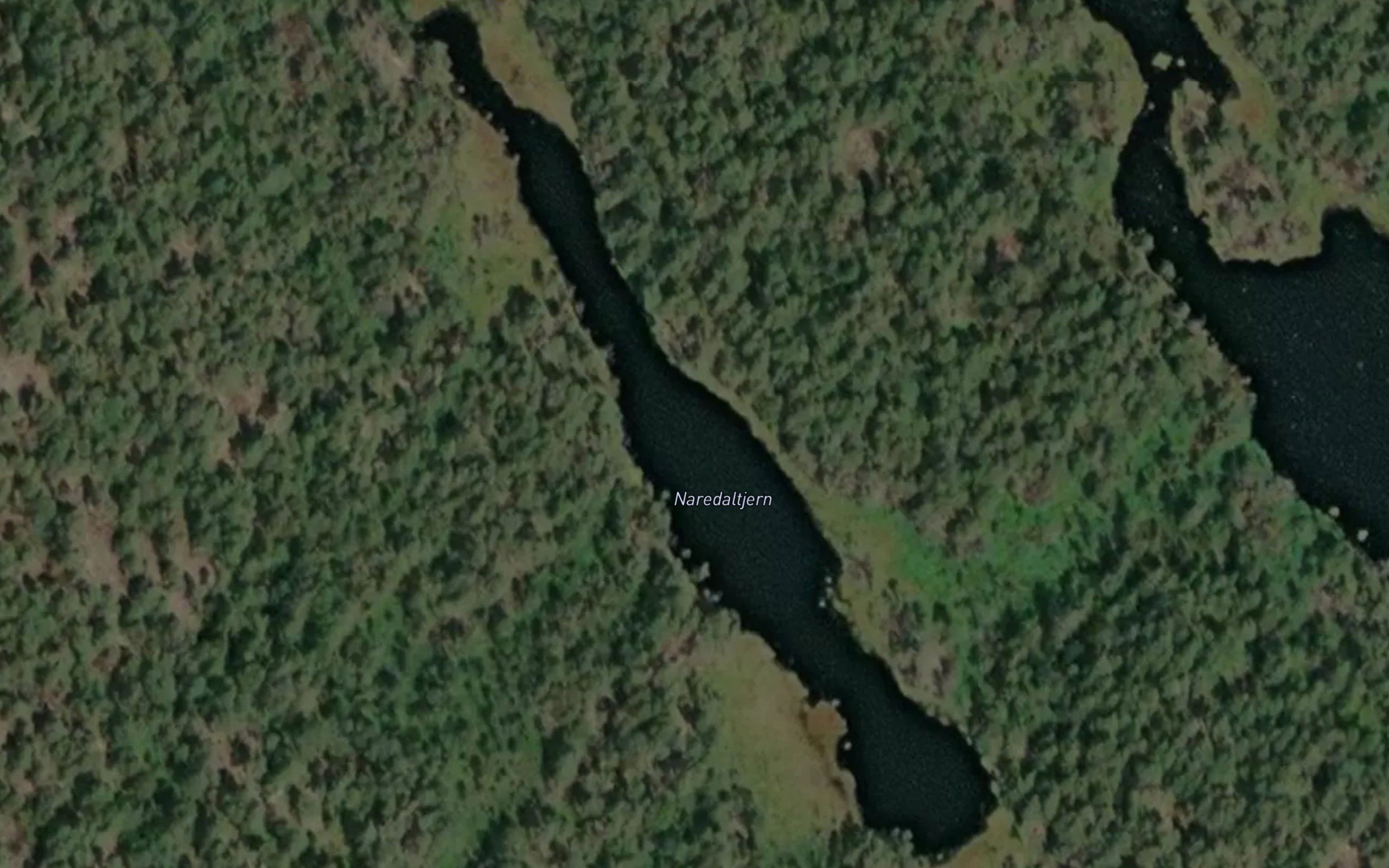 Naredaltjern