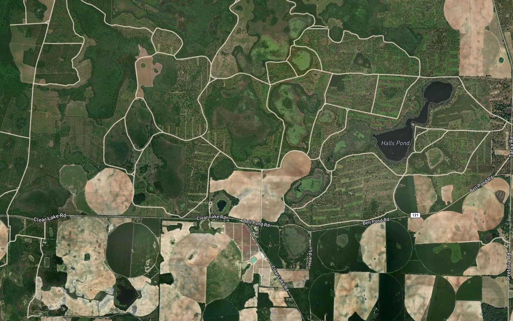Satellite map of the Alligator Lake