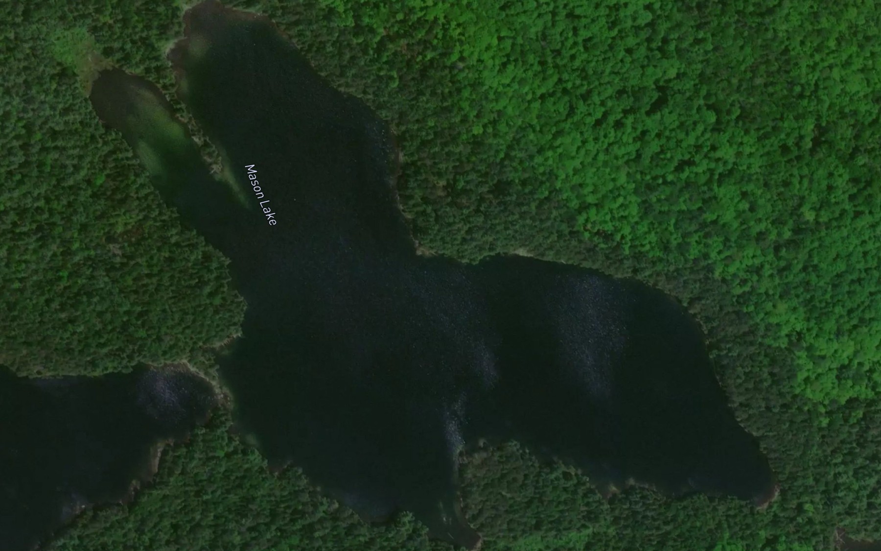 Satellite map of the Mason Lake