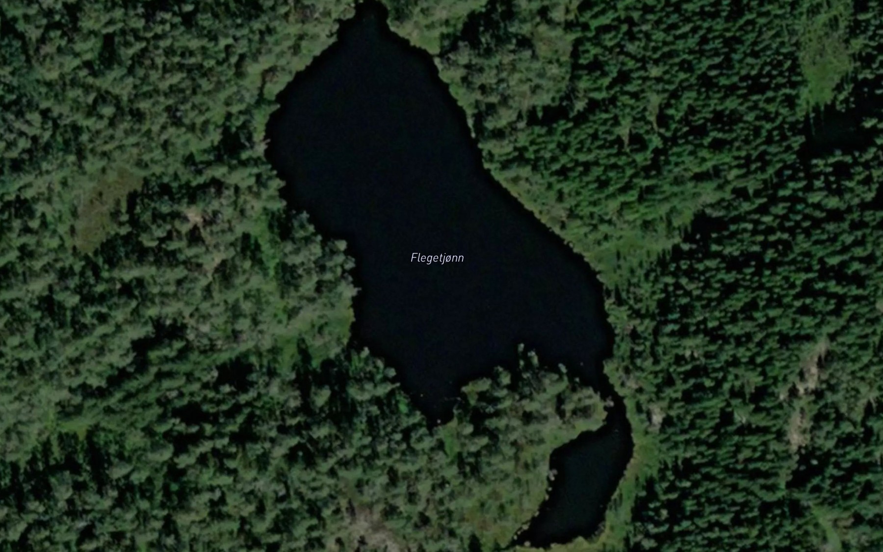 Satellite map of the Flegetjonn