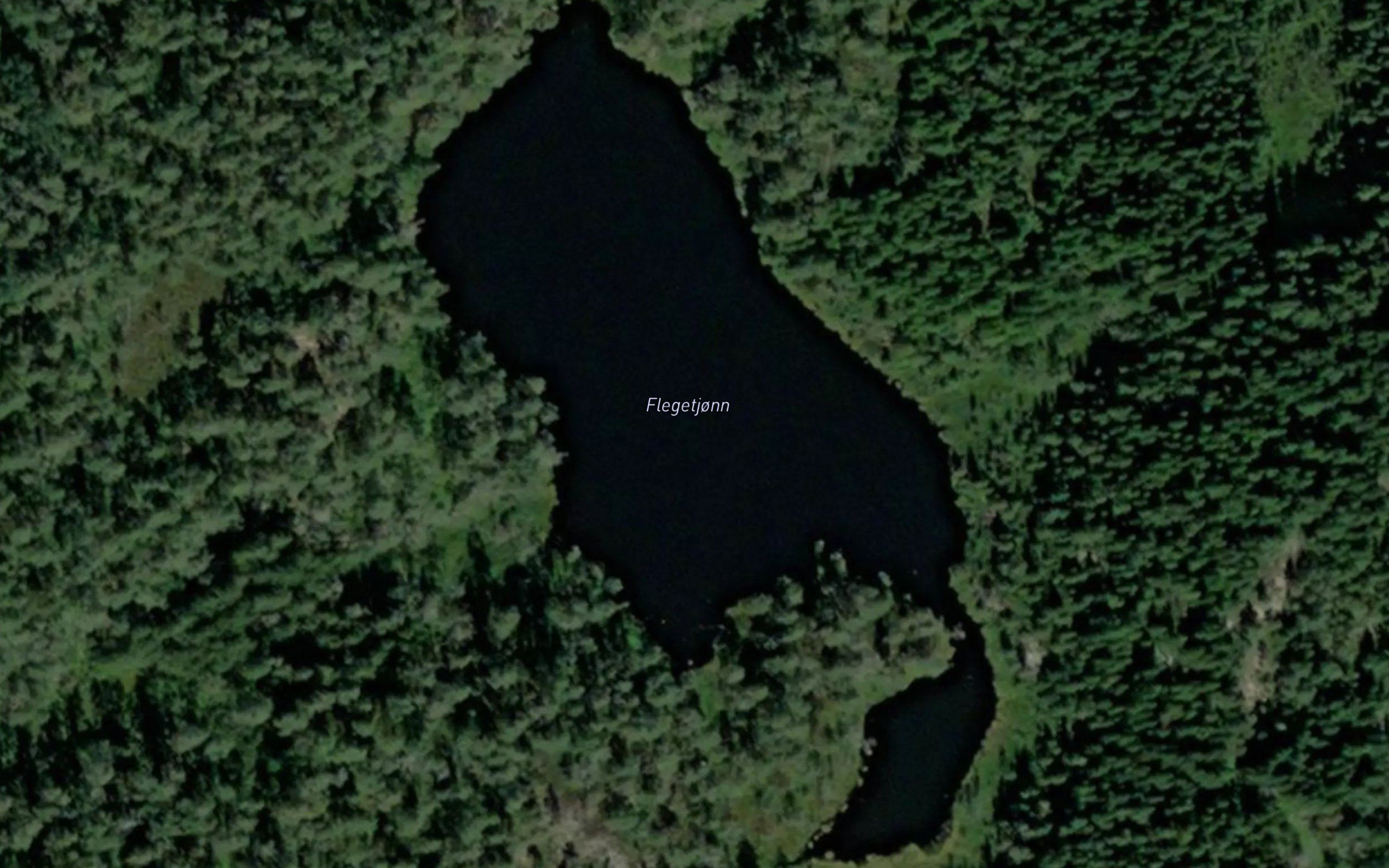 Flegetjonn