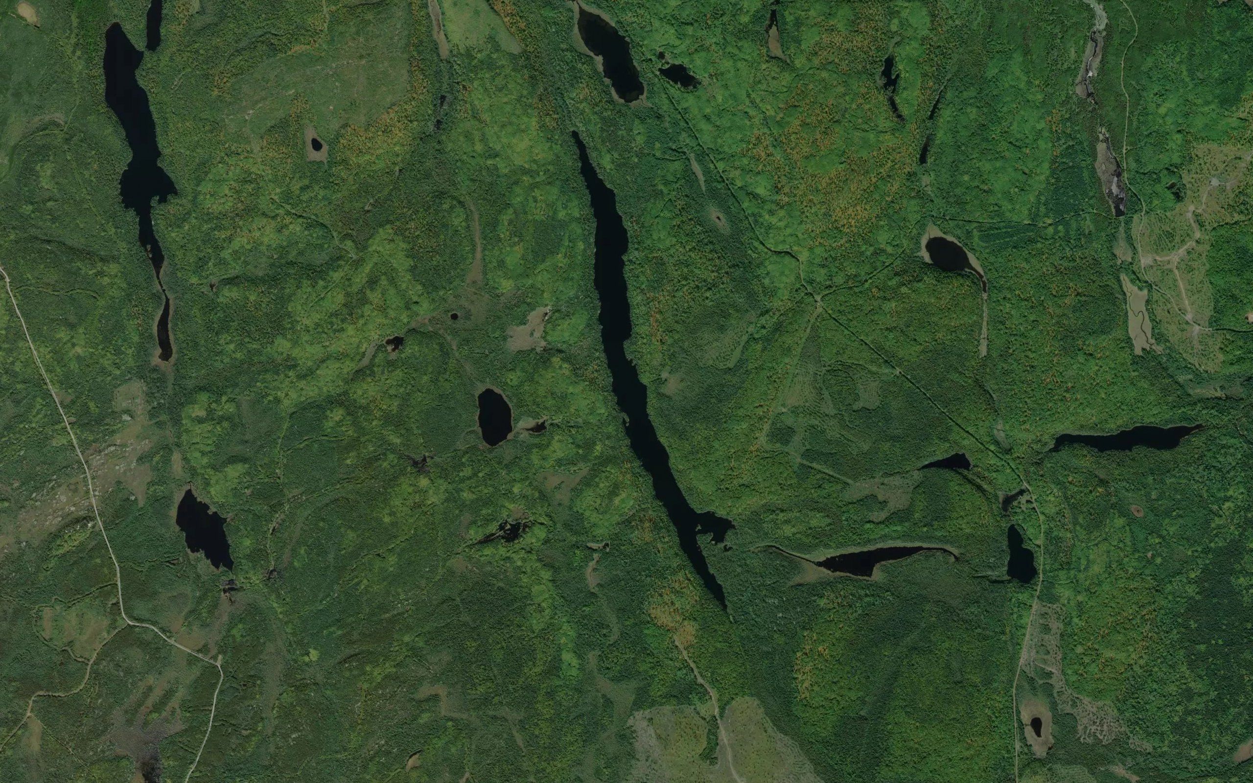 Upper Wolf Lake