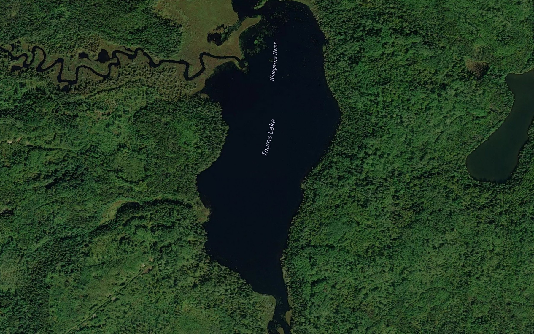 Satellite map of the Tooms Lake