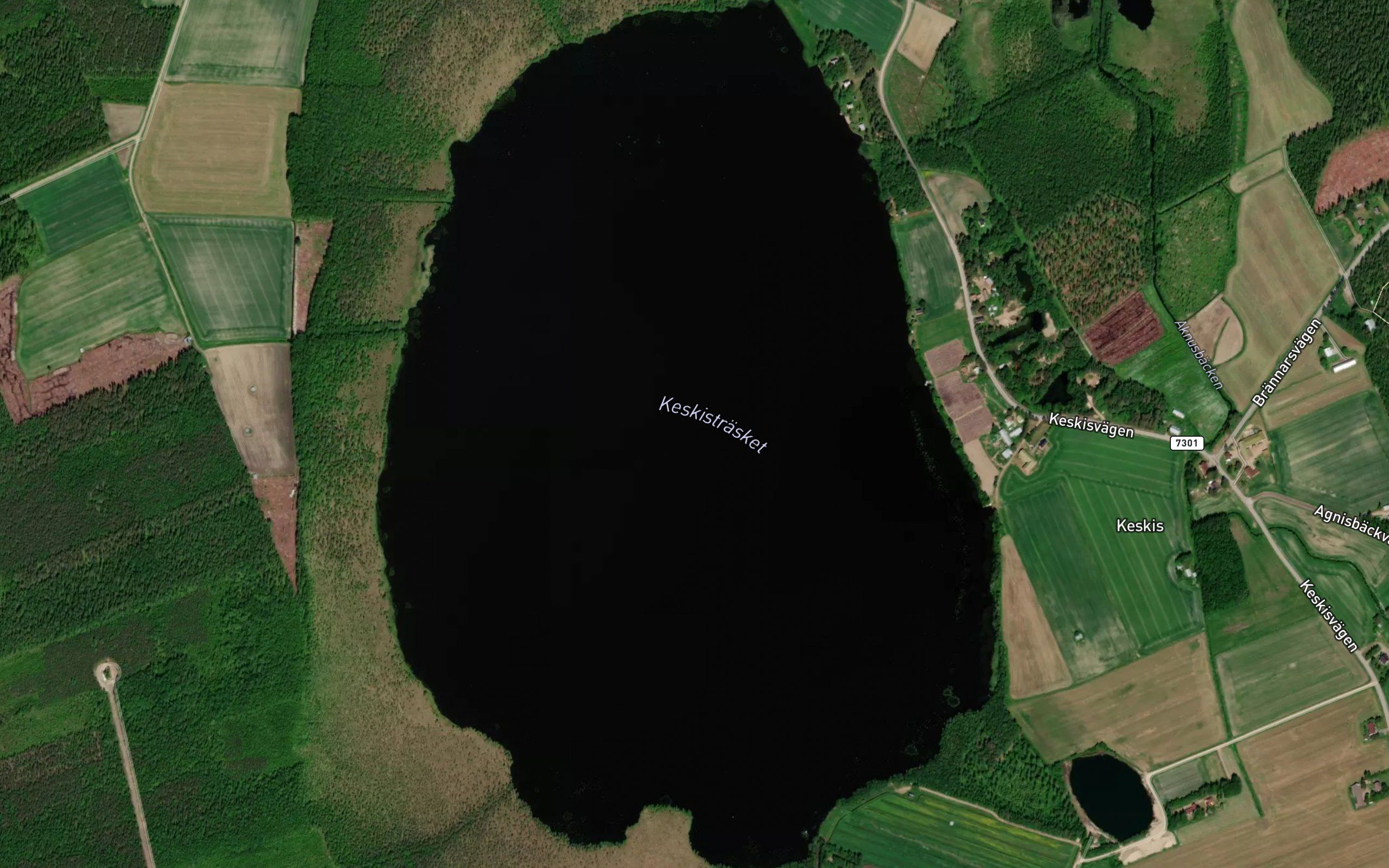 Keskistrasket