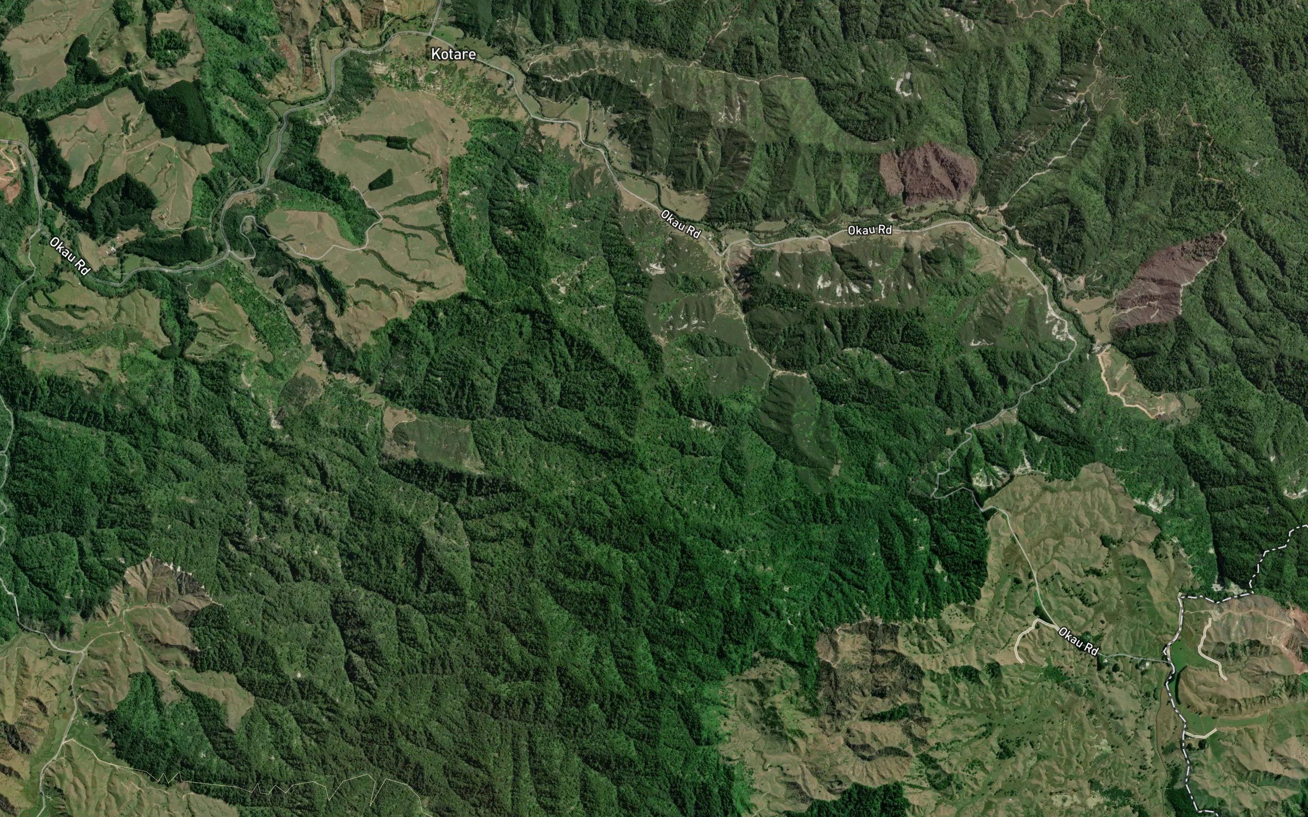 Papakino Stream