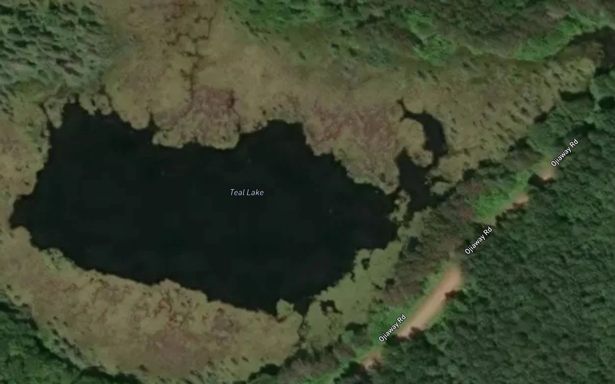 Teal Lake