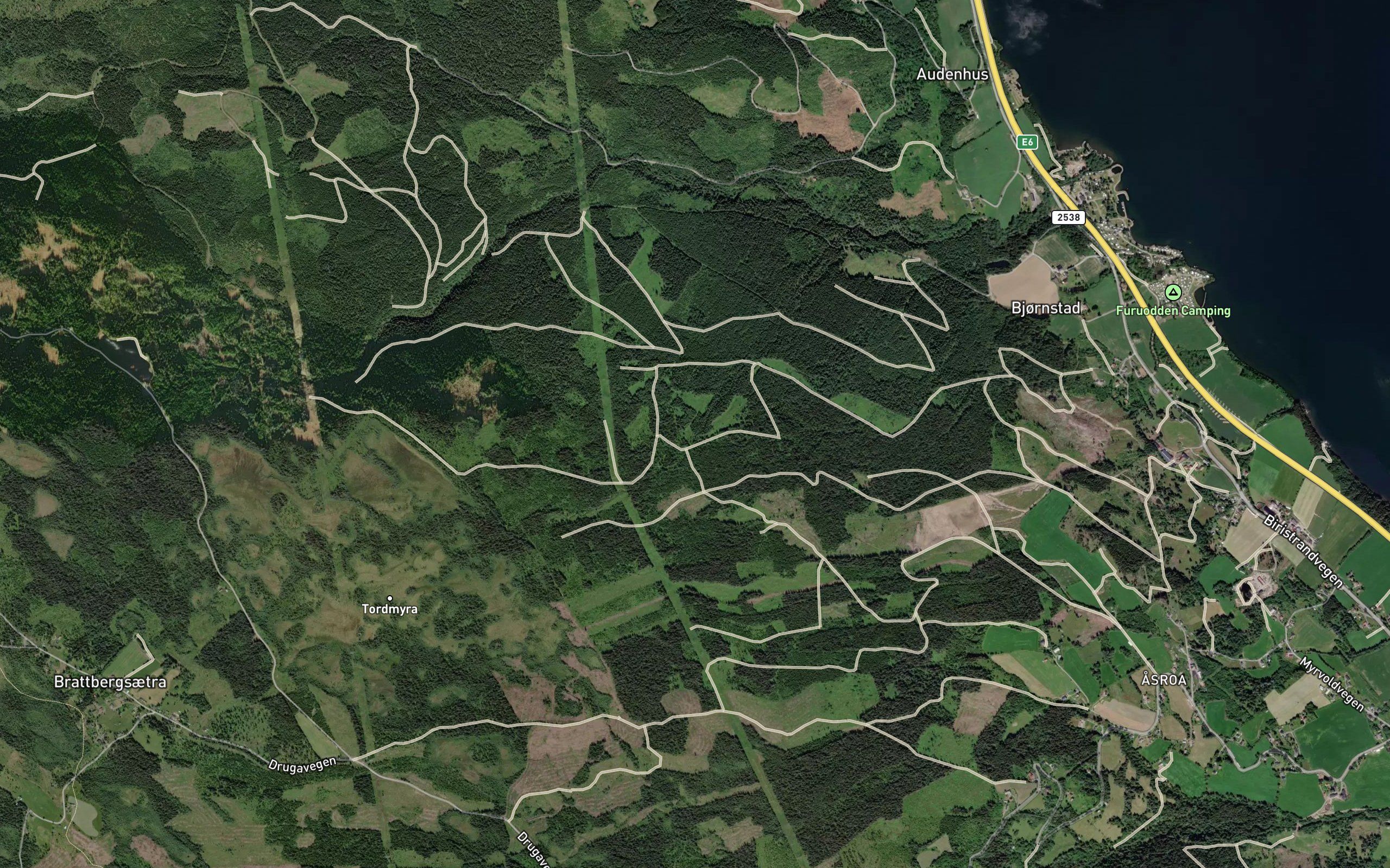 Vesleelva