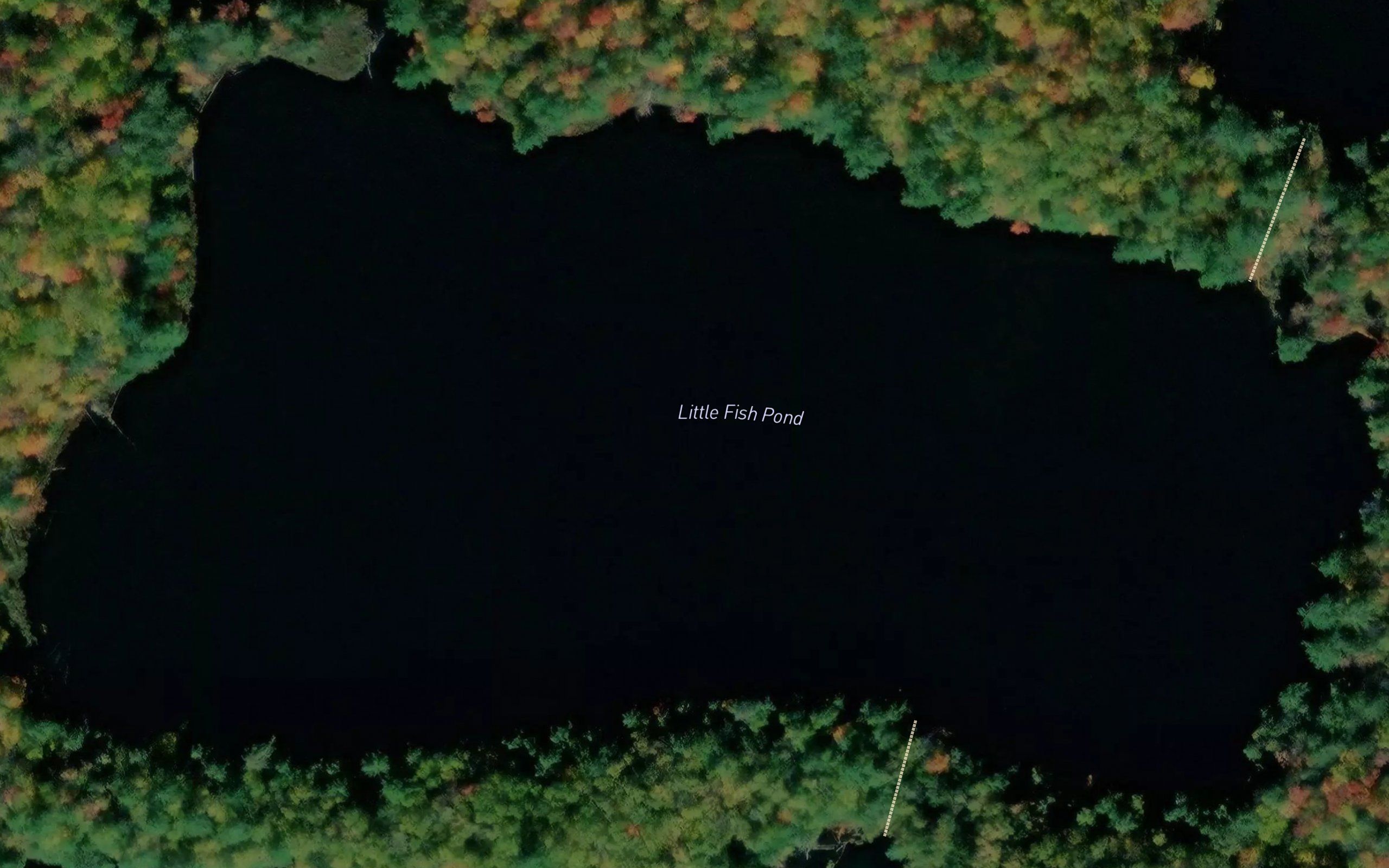 Little Fish Pond