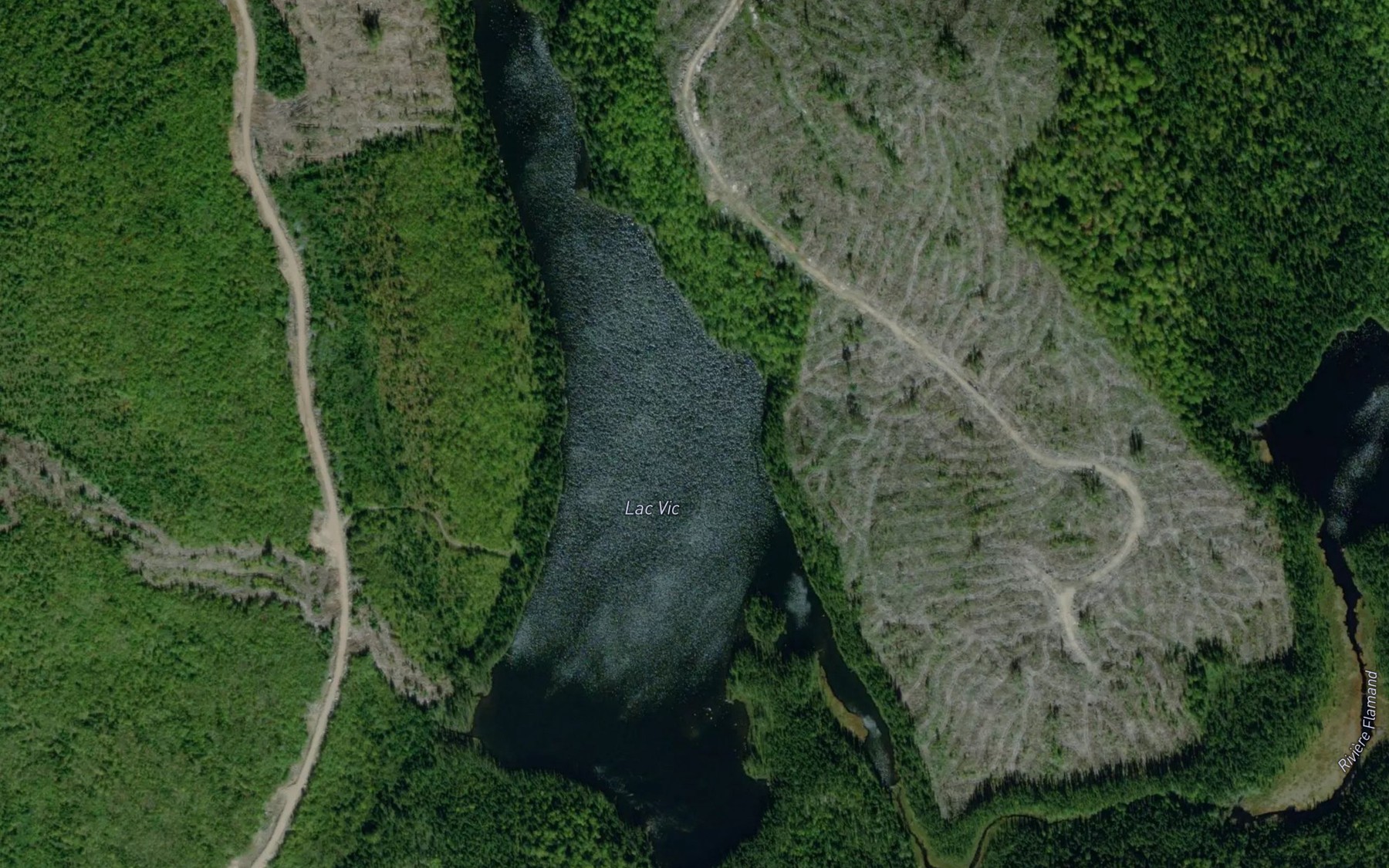 Satellite map of the Lac Vic