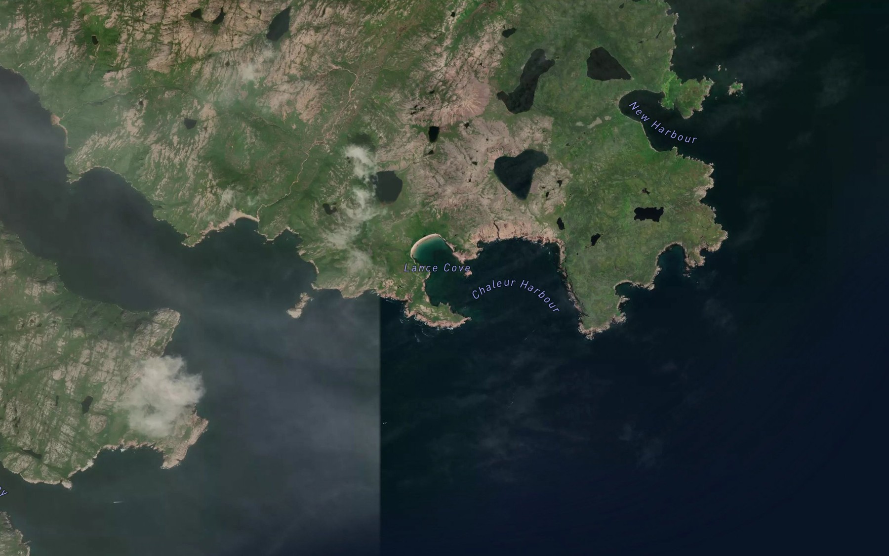 Satellite map of the Lance Cove
