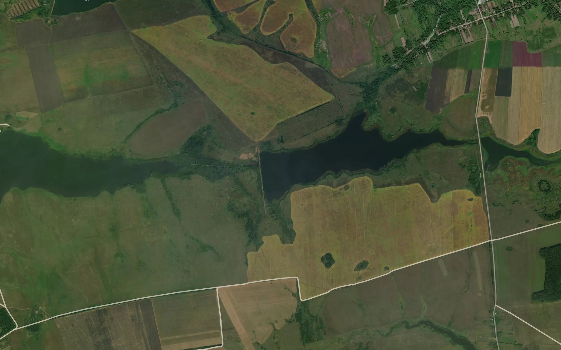 Satellite map of the Ryazhskiy Rybkhoz