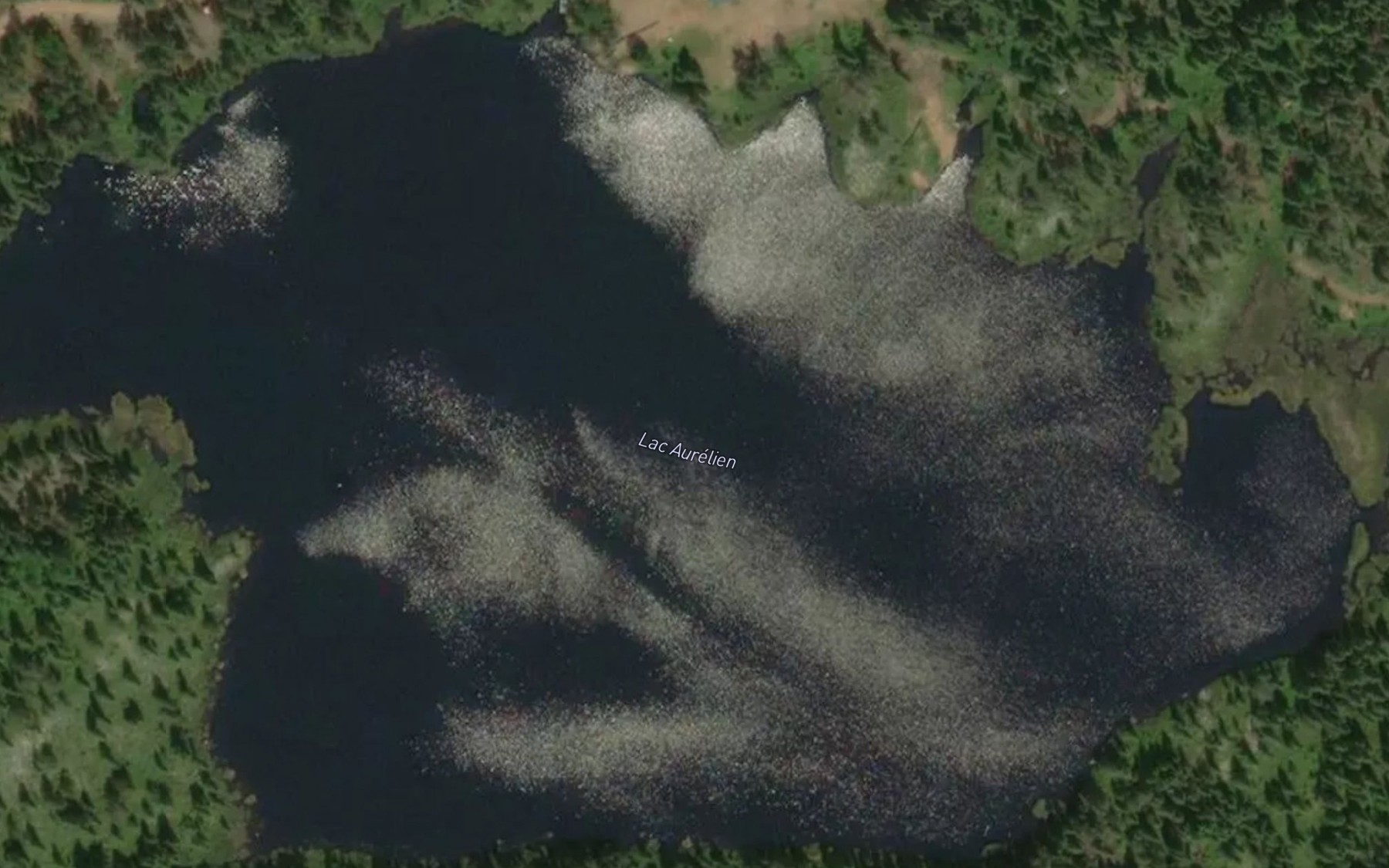 Satellite map of the Lac Aurelien