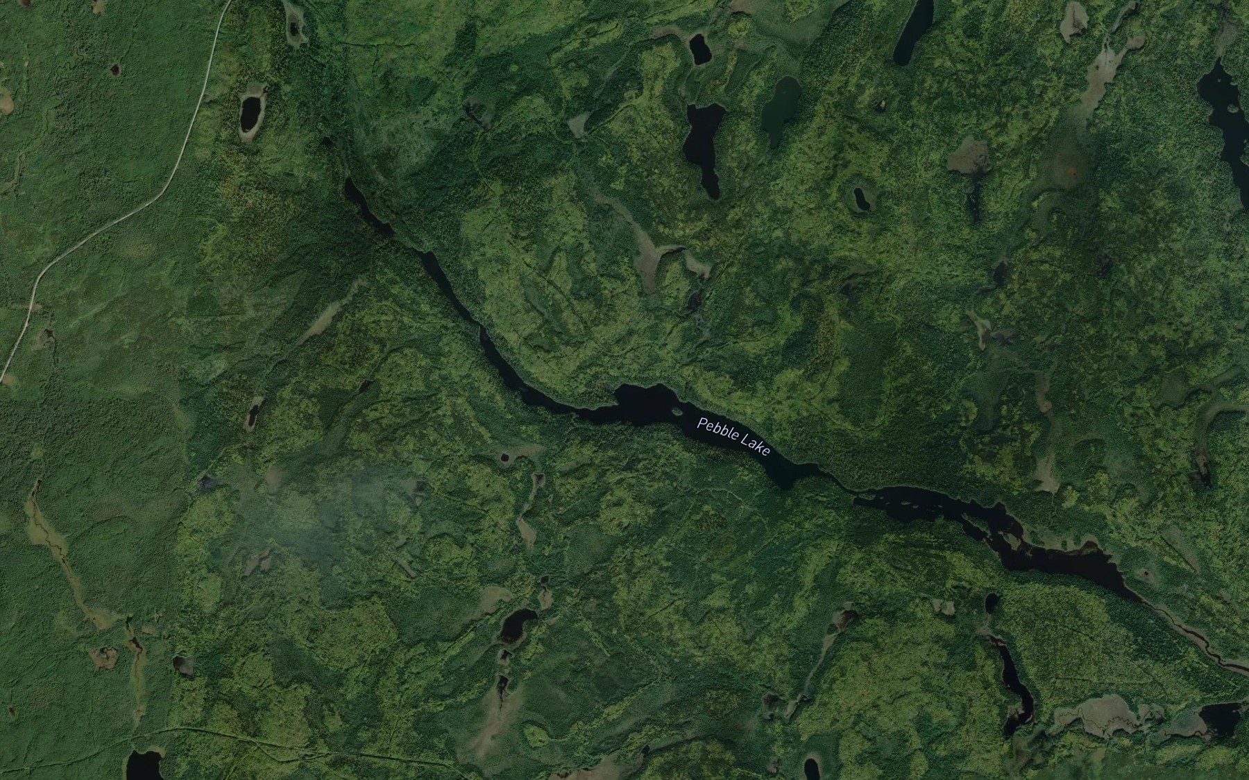Satellite map of the Pebble Lake