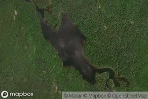 Rice Lake