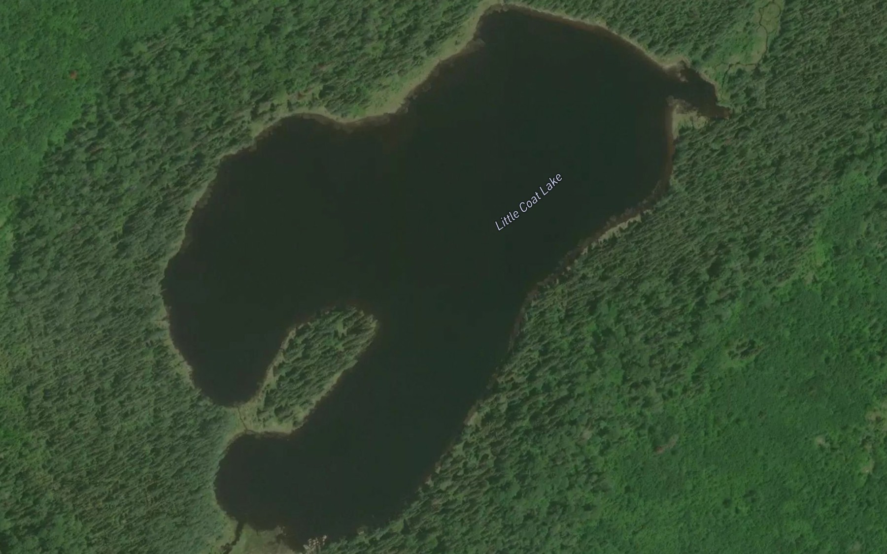 Satellite map of the Little Coat Lake