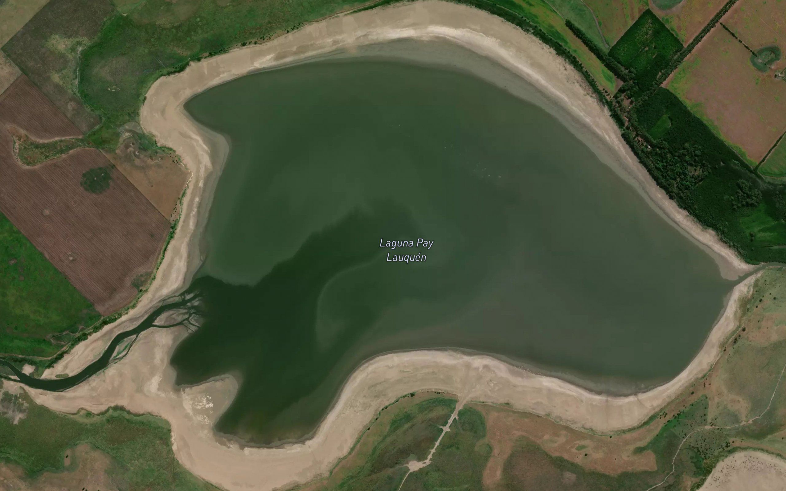 Laguna Pay Lauquen