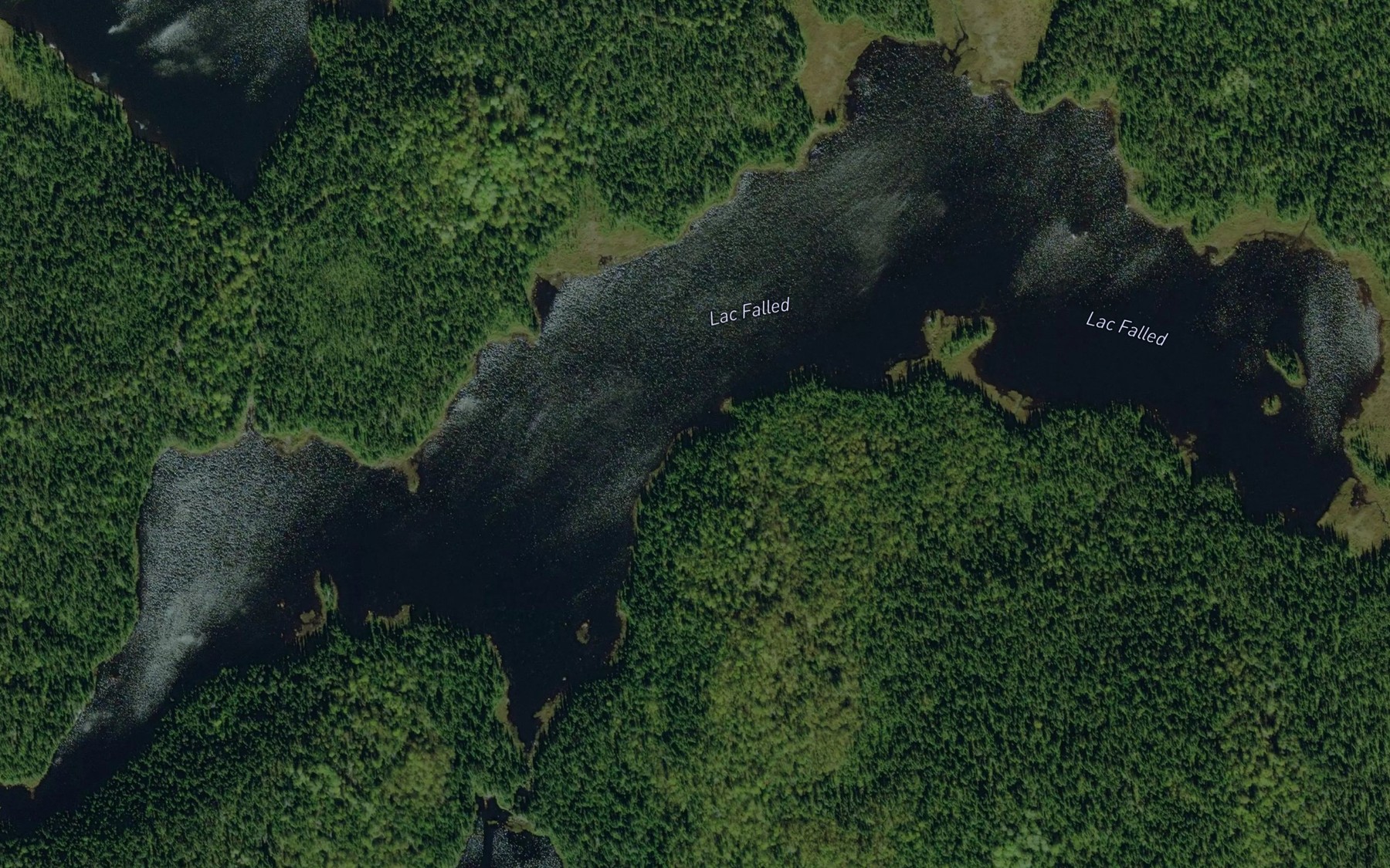 Satellite map of the Lac Falled