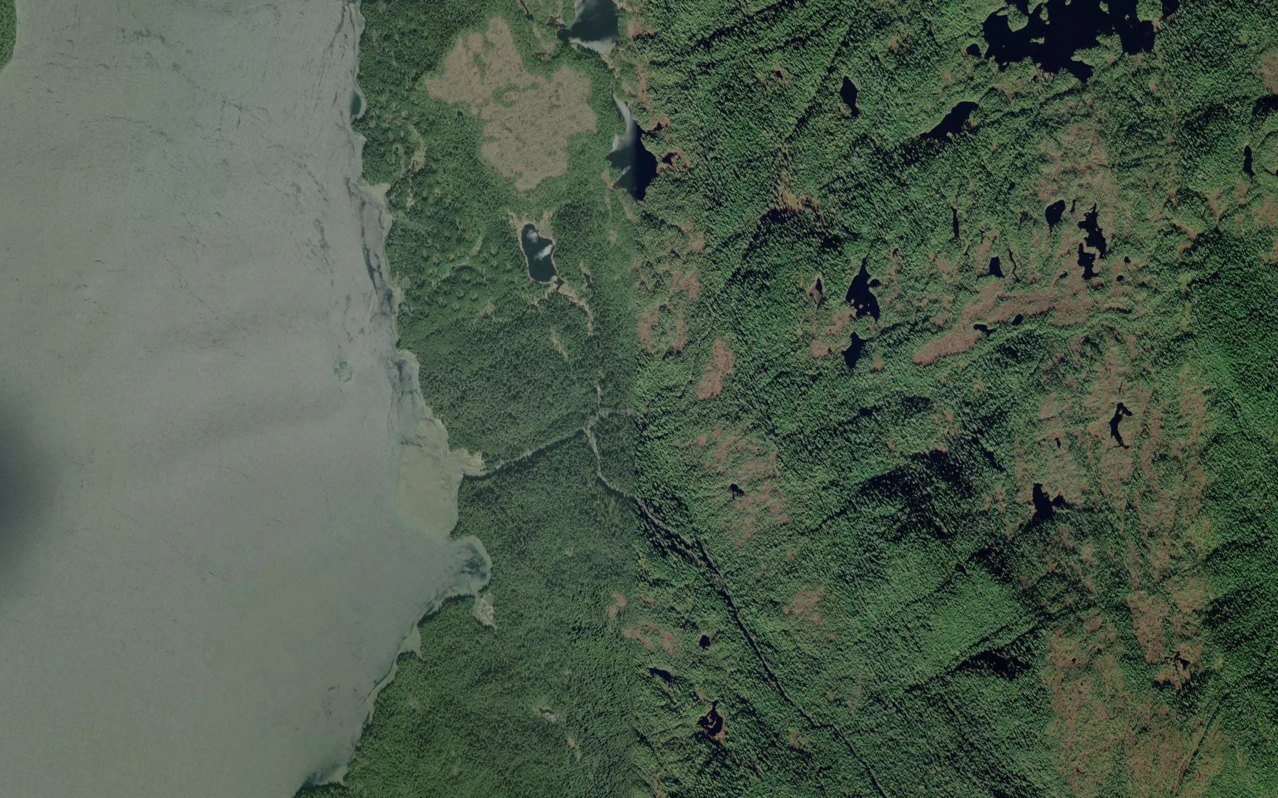 Sea Level Creek