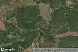 Munegimkoyagi Pinari