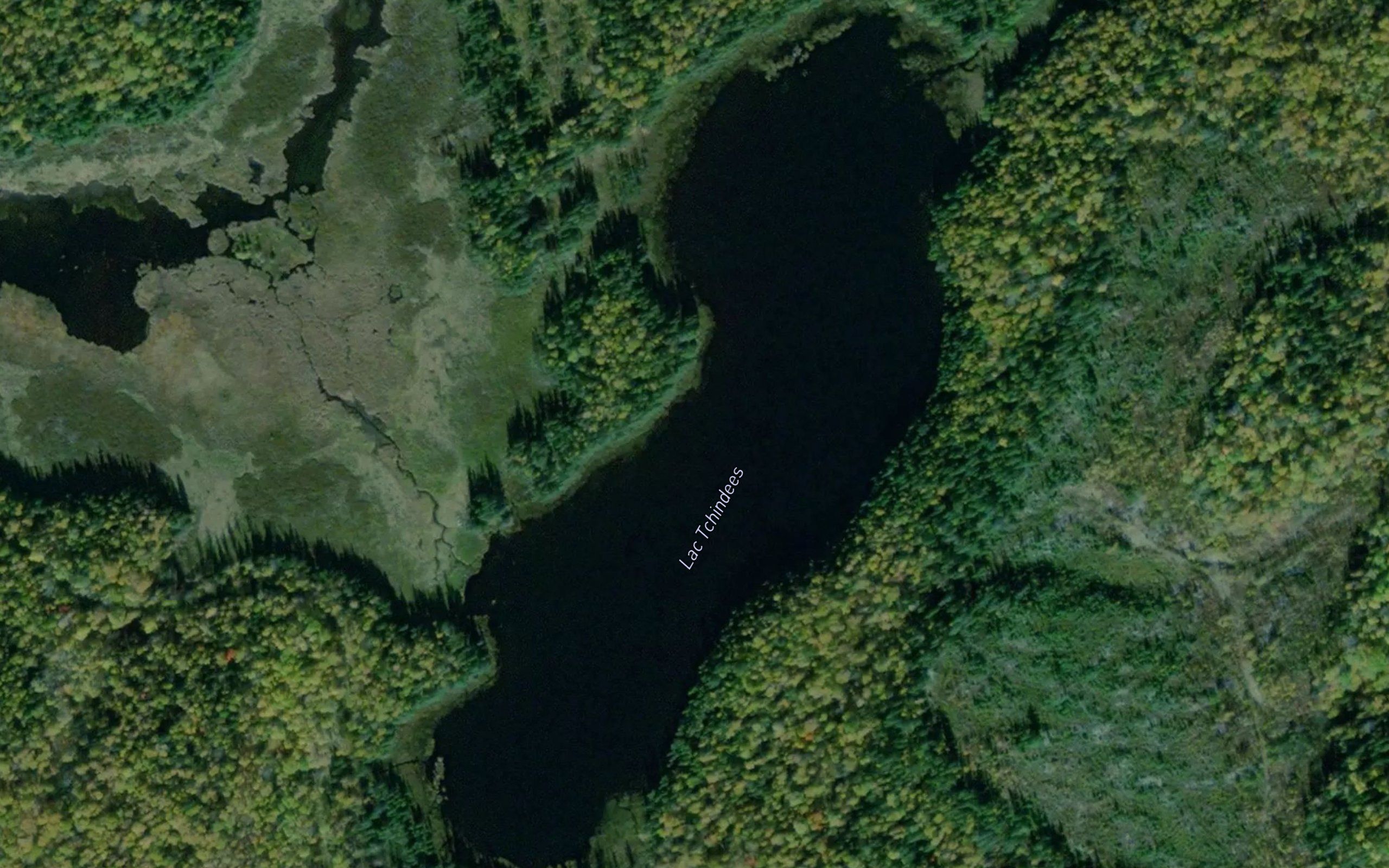 Lac Tchindees