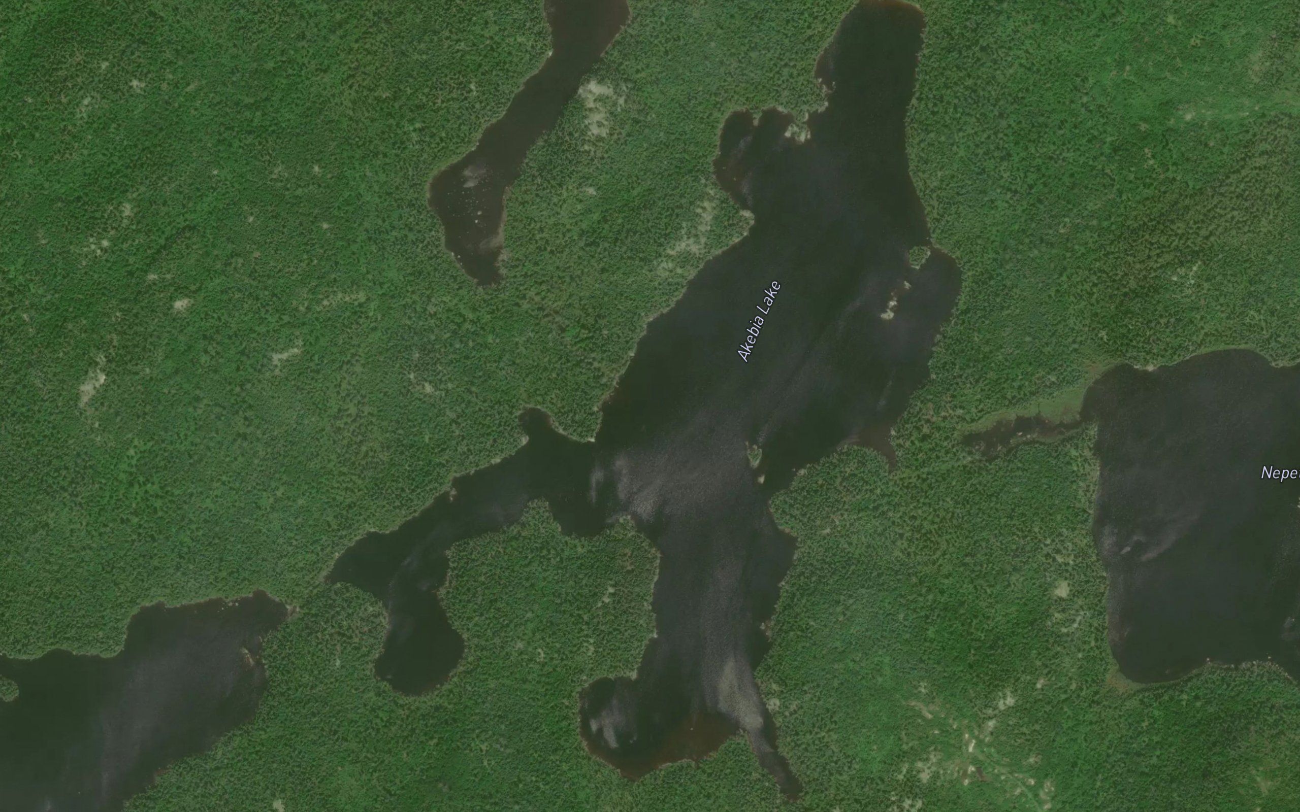 Akebia Creek