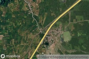 Distributary Number Four