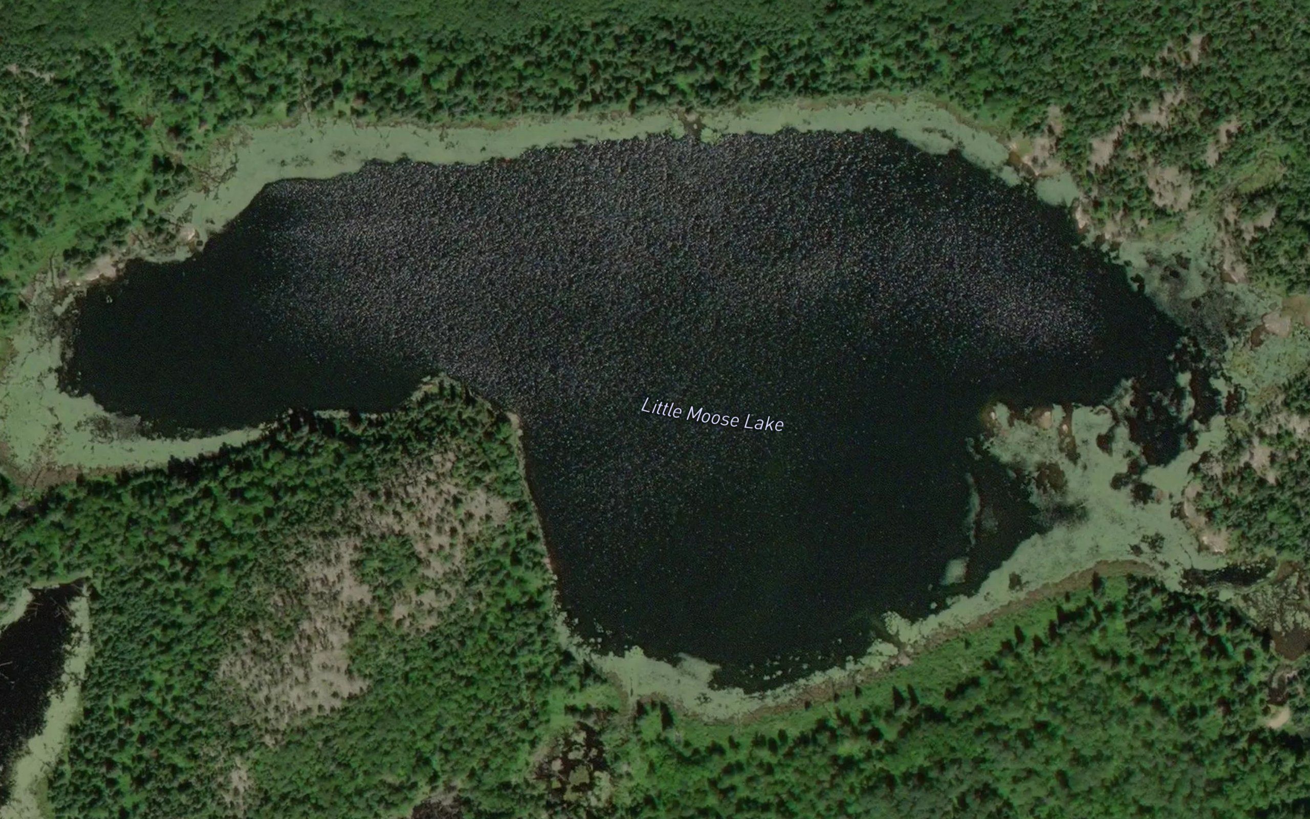 Little Moose Lake