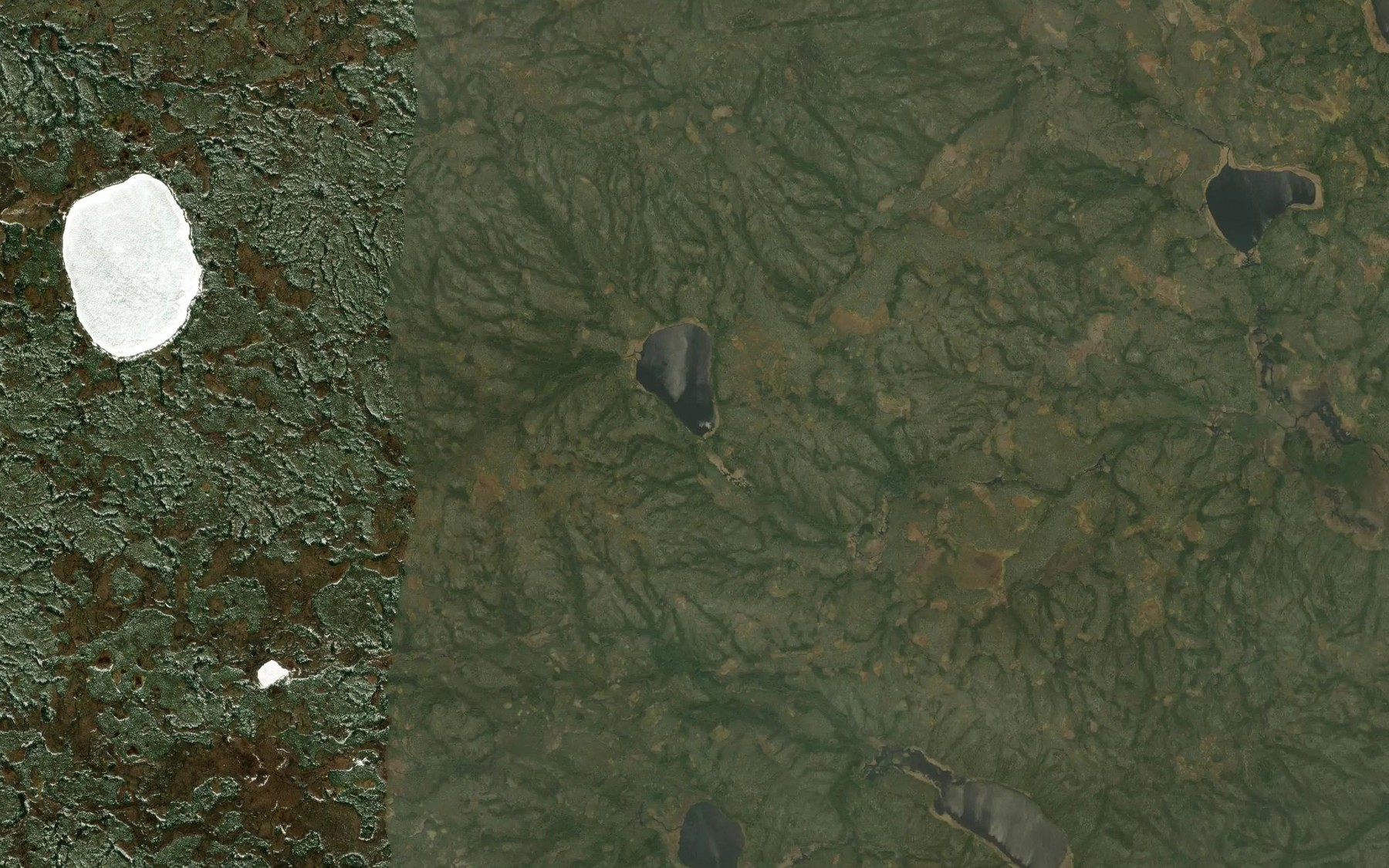 Satellite map of the Cox Creek