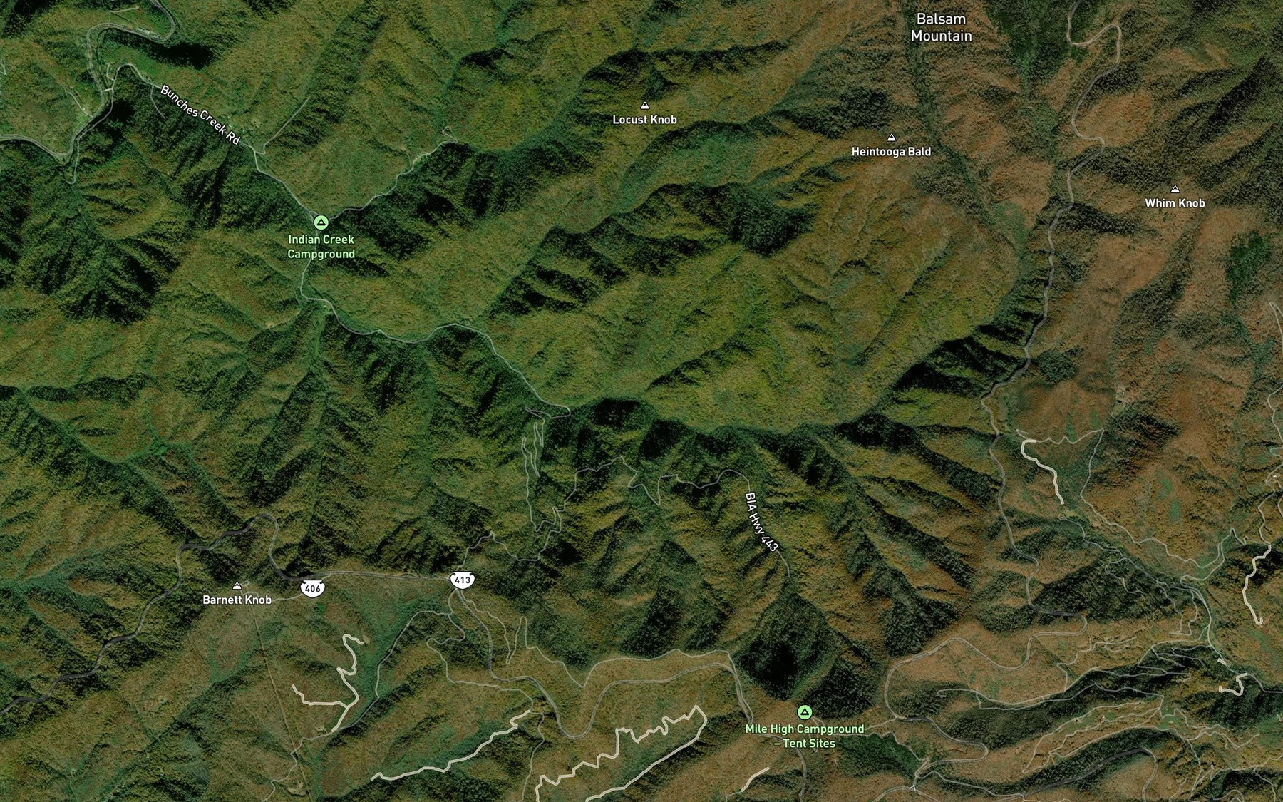 Satellite map of the Selma Creek
