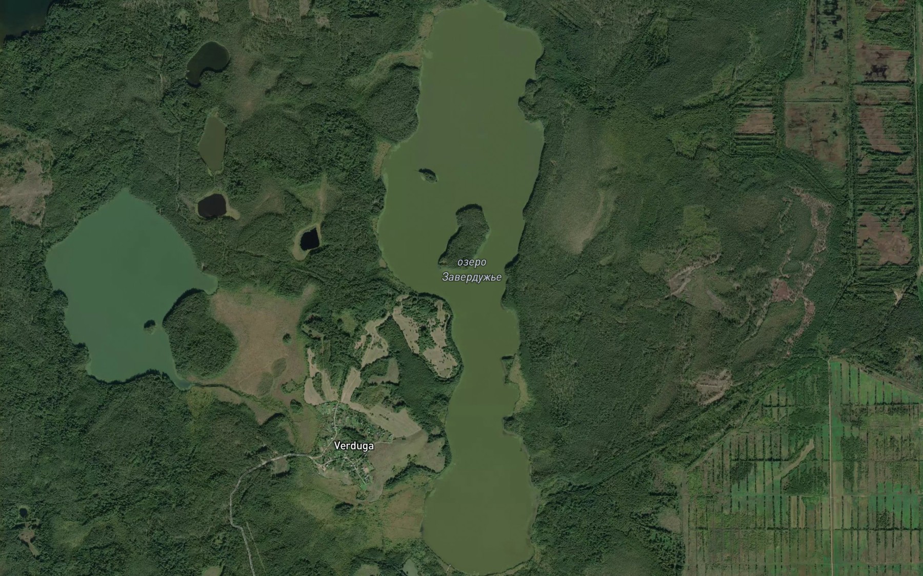 Satellite map of the Ozero Zaverduzh'ye
