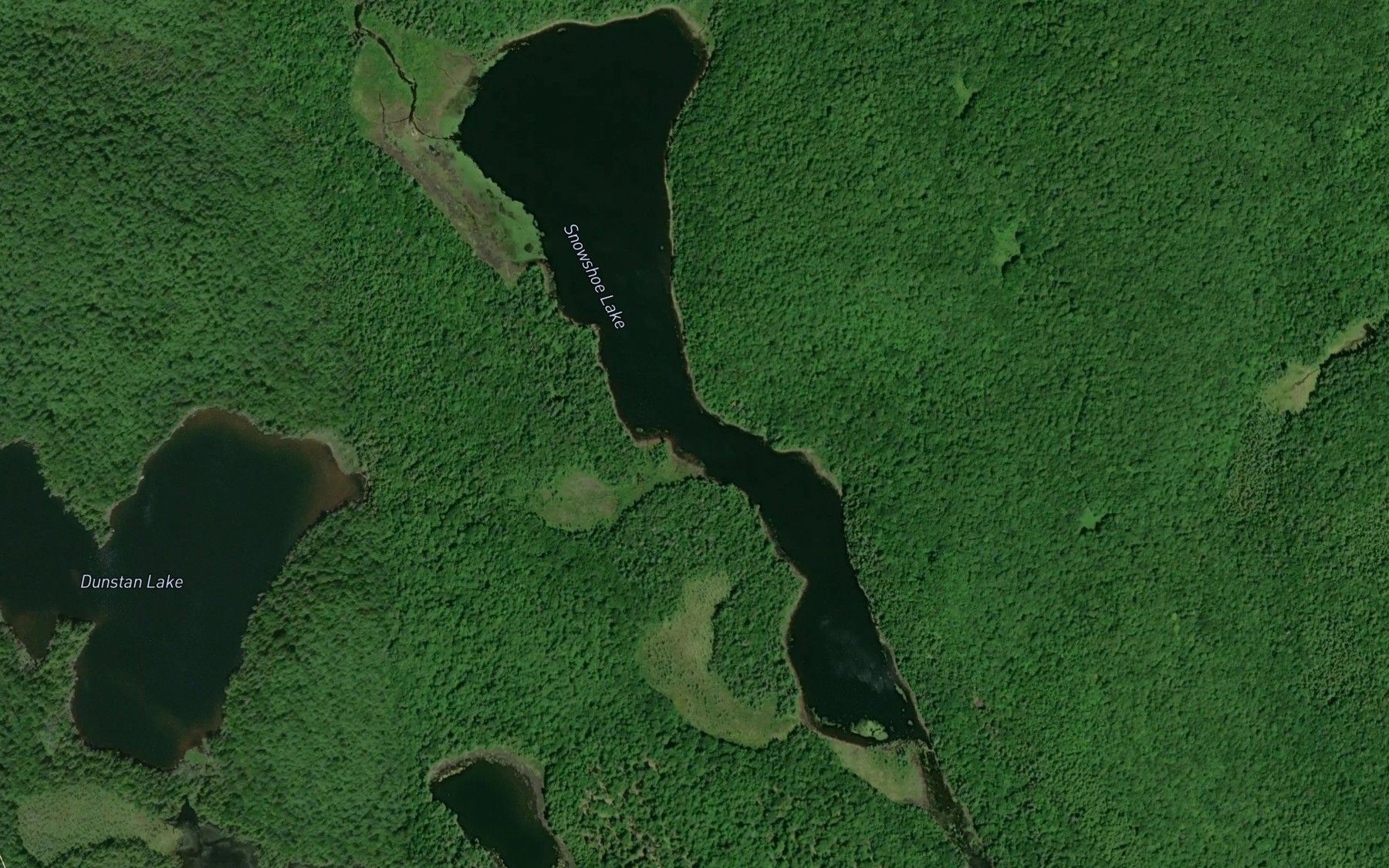 Satellite map of the Snowshoe Lake