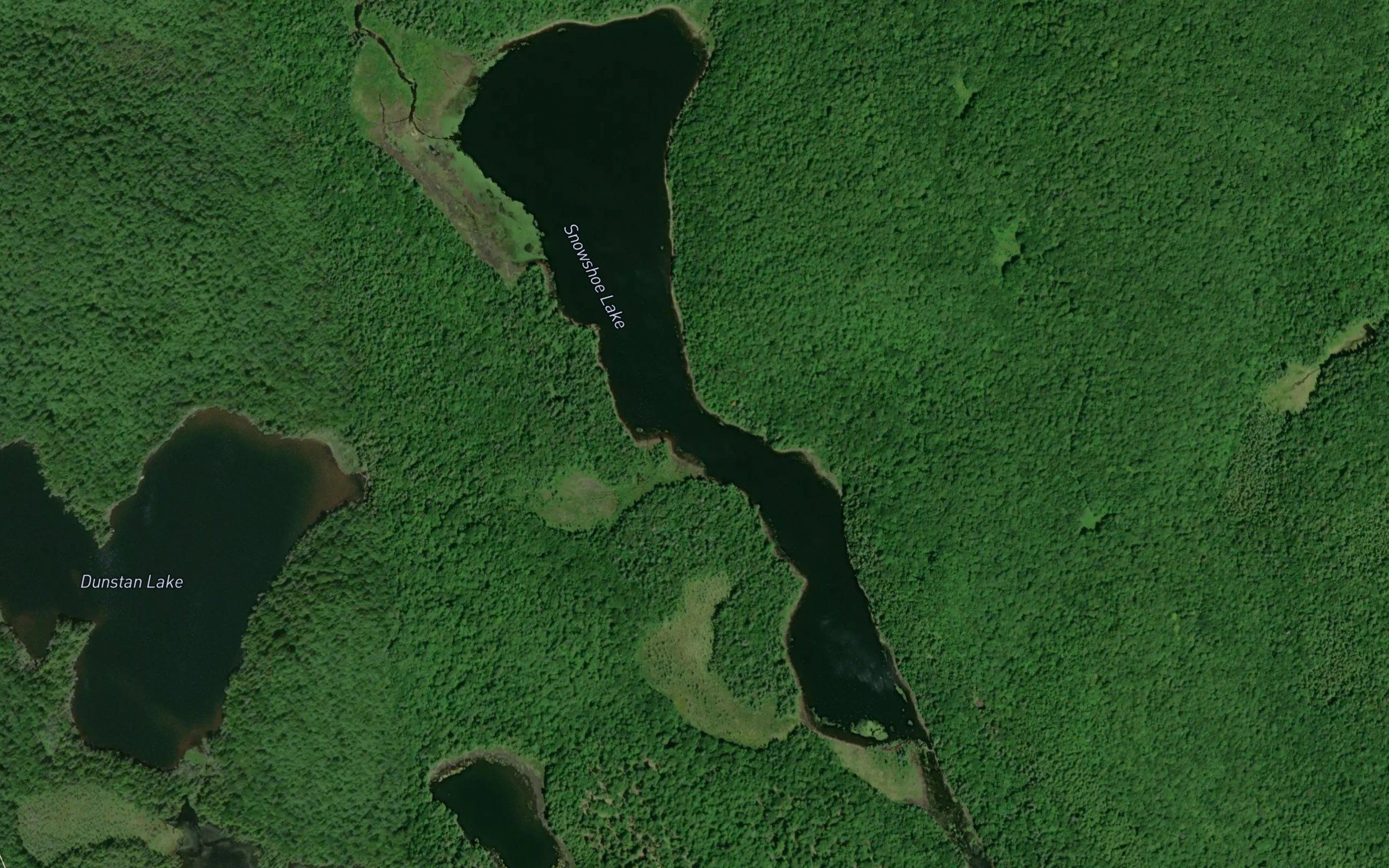 Snowshoe Lake