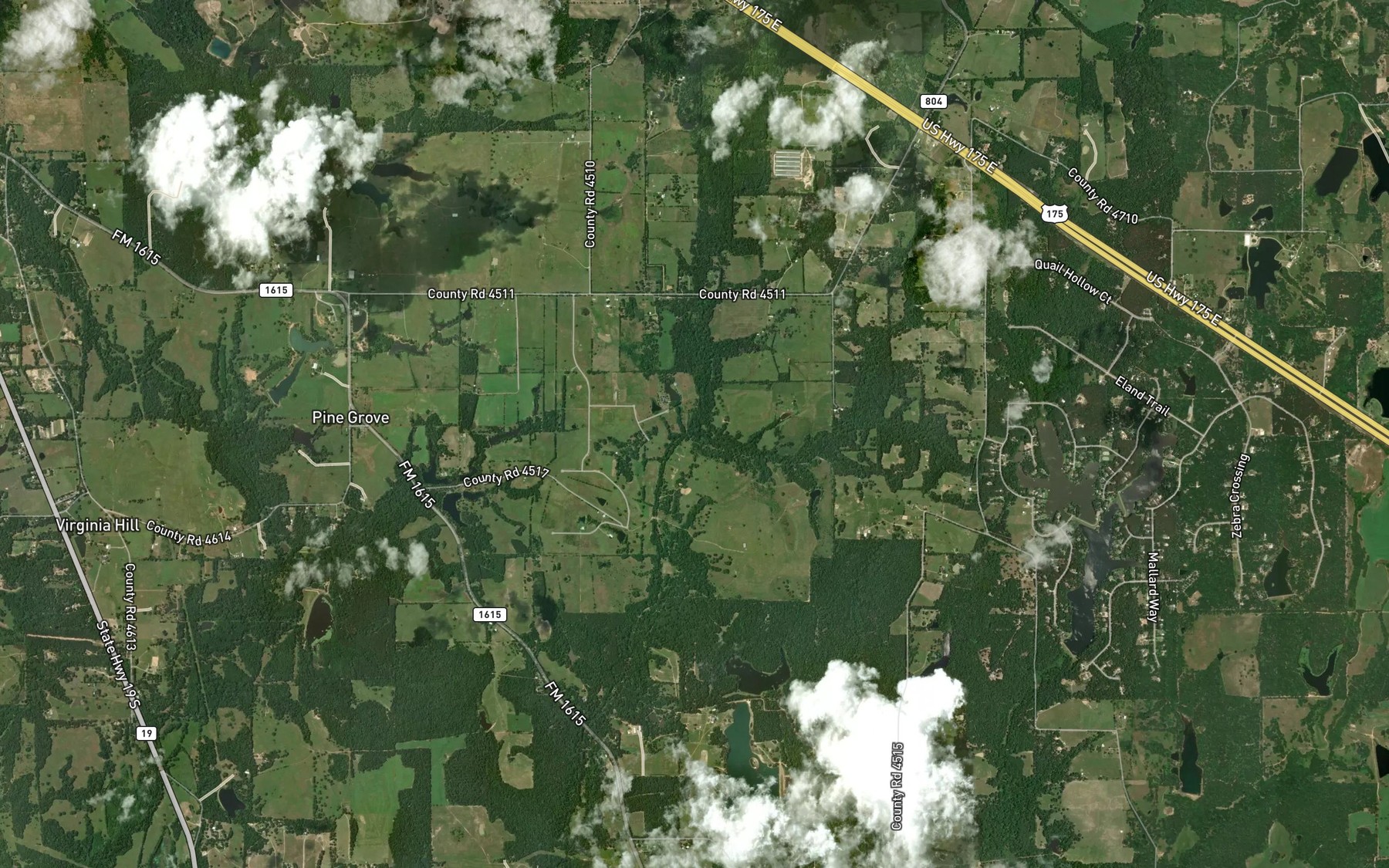 Satellite map of the Gold Branch